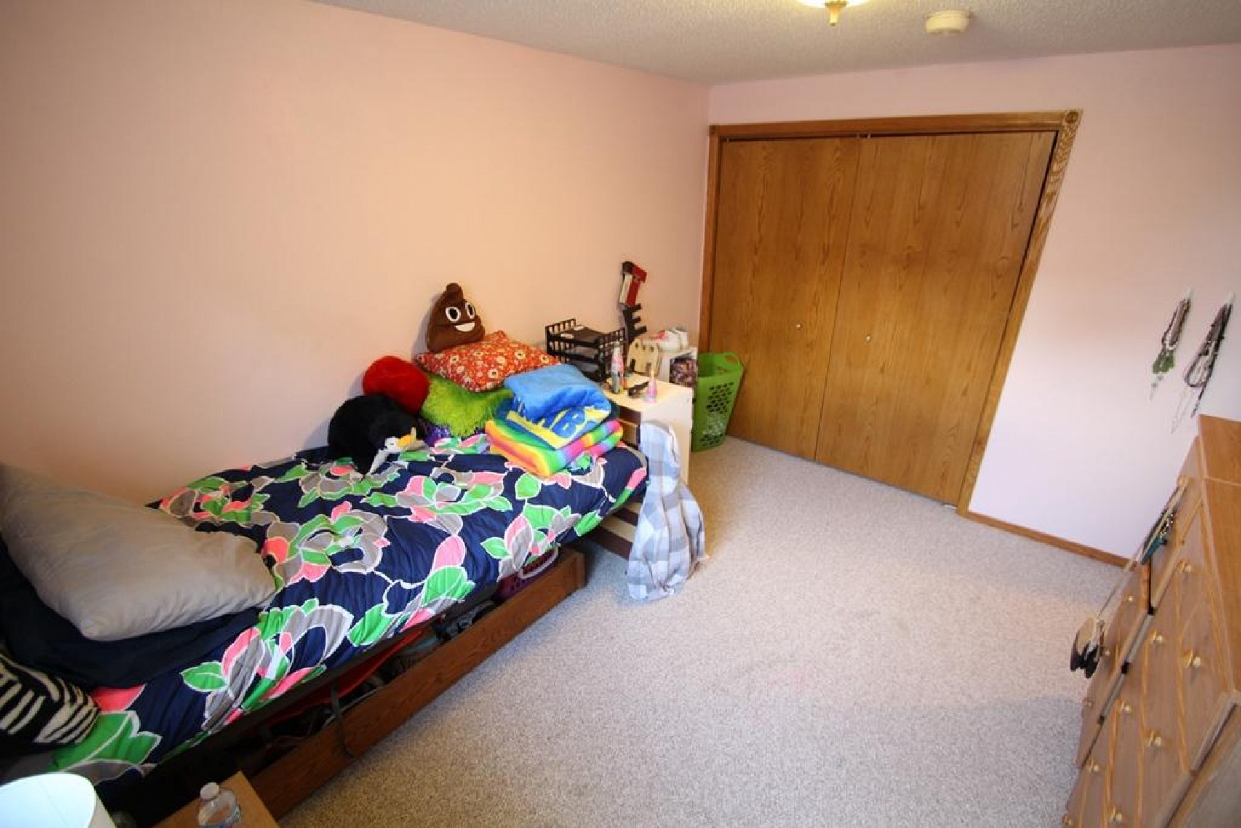 250 Heather Lane W, Brookings, SD 57006