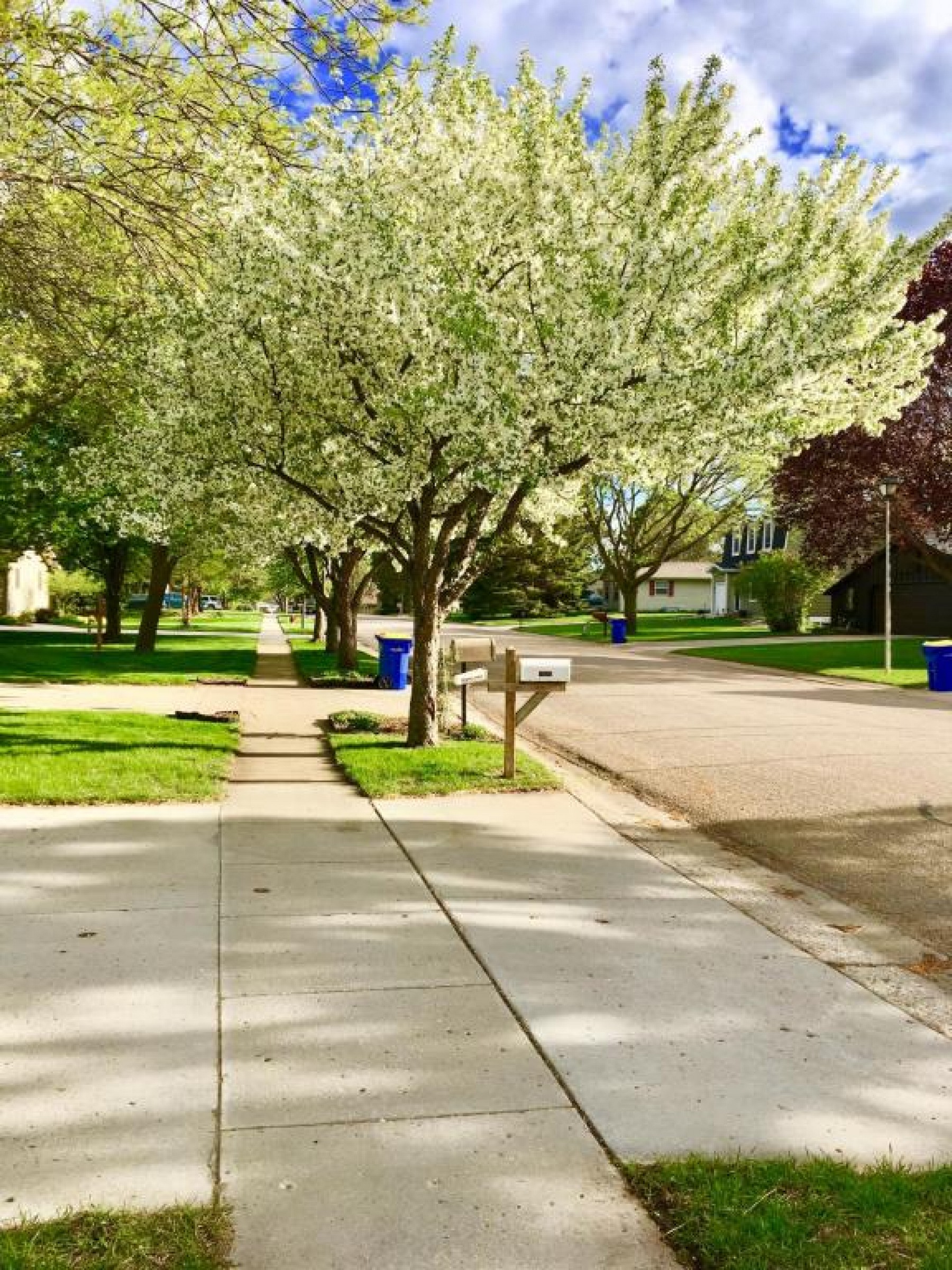 1521 Calumet Road, Brookings, SD 57006