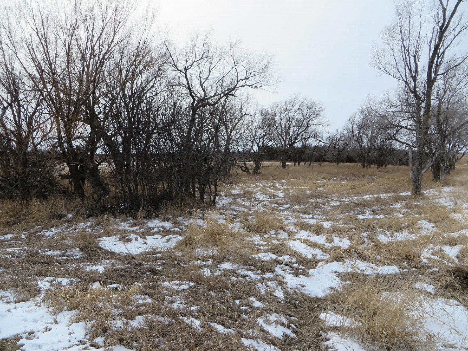 Lot 2 Rauch Addition, Lake Preston, SD 57249