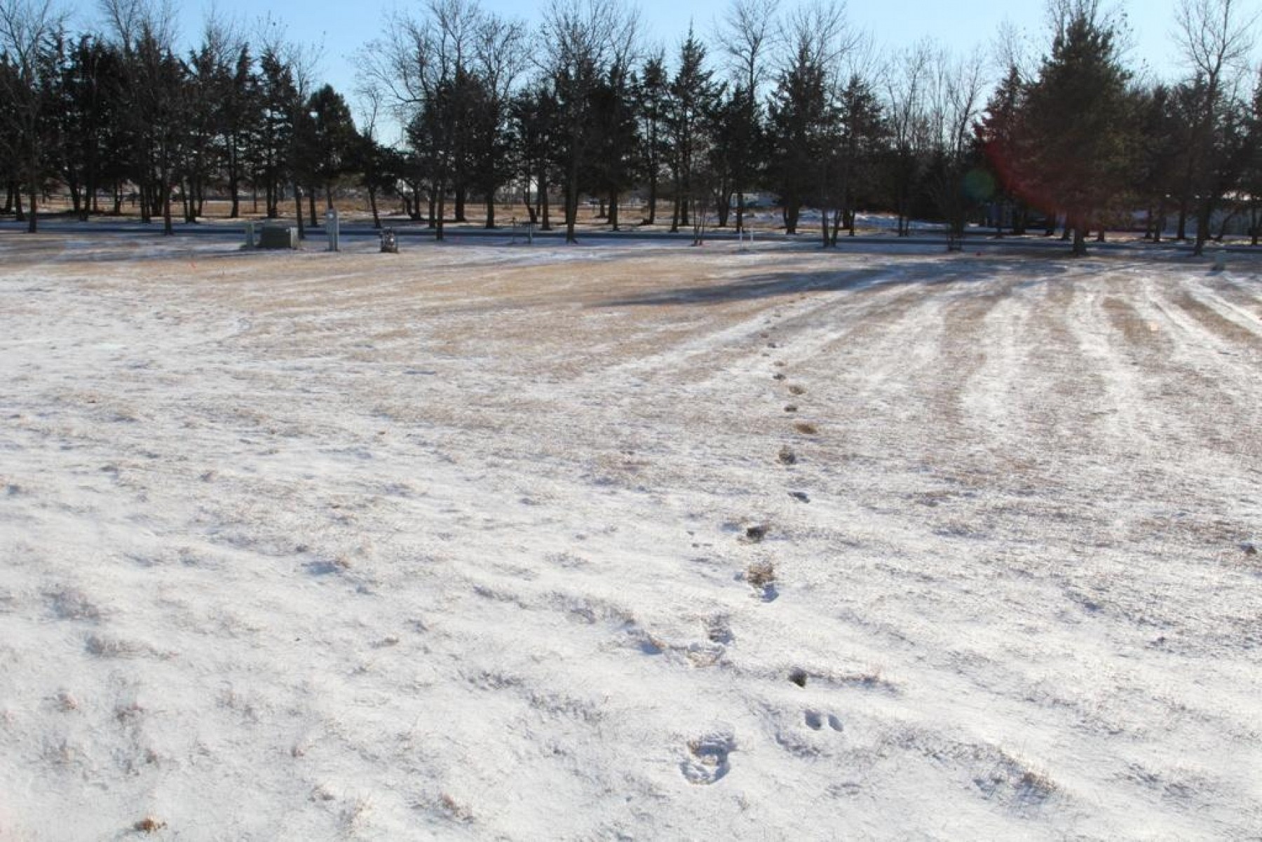 709 Morgans Run, Brookings, SD 57006