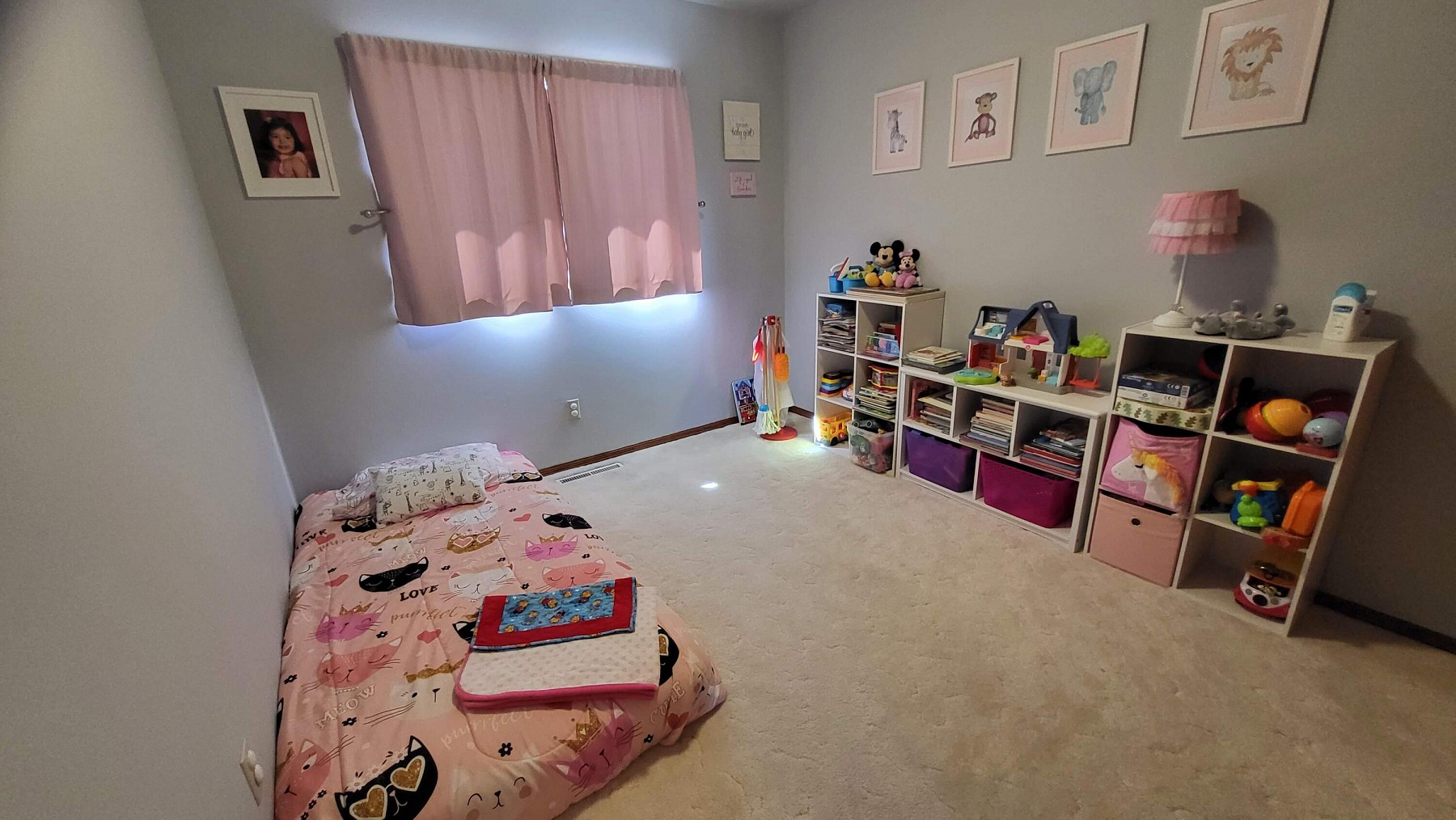 2143 Derdall Drive, Brookings, SD 57006