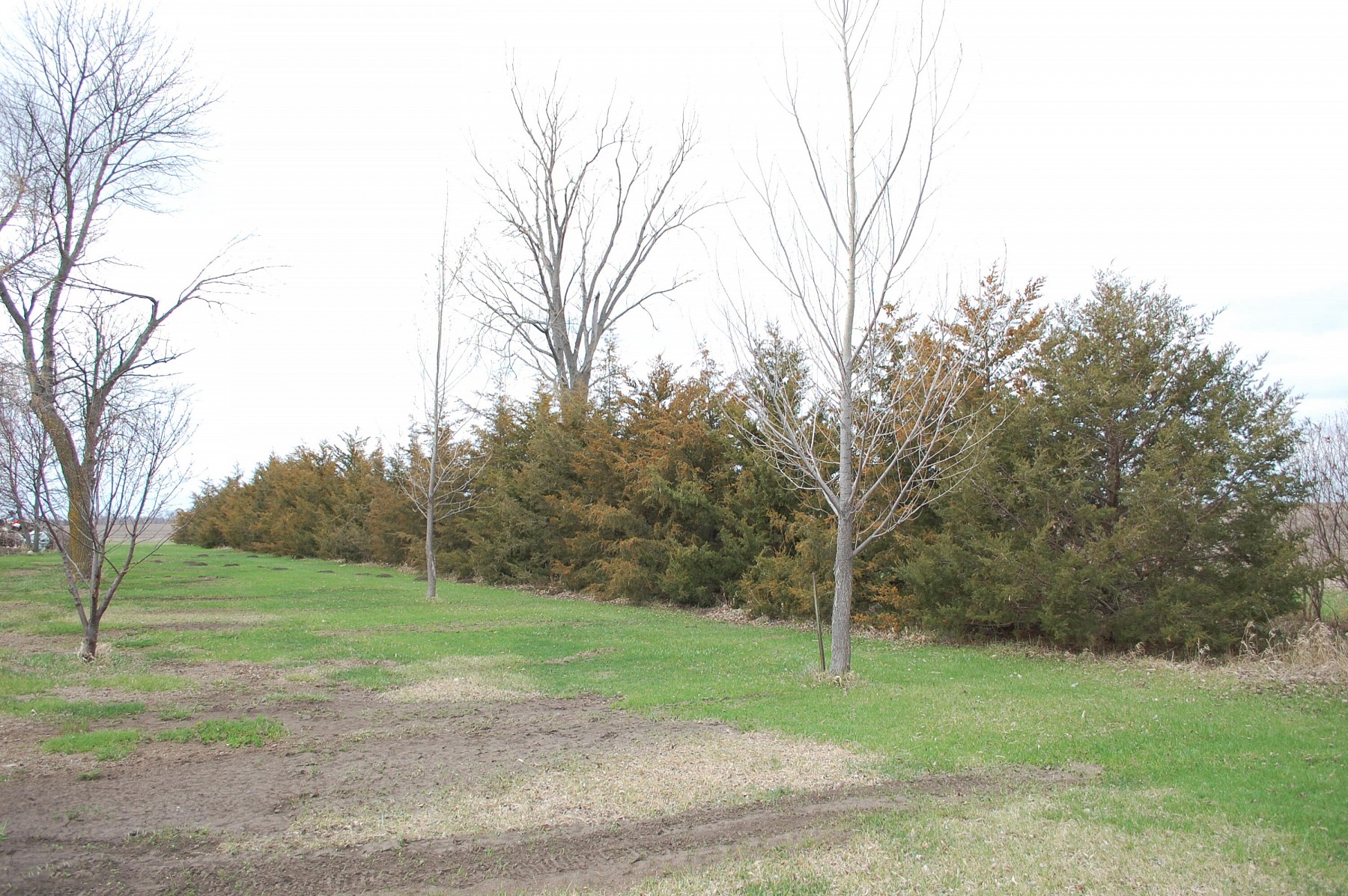 45365 194th Street, Lake Norden, SD 57248