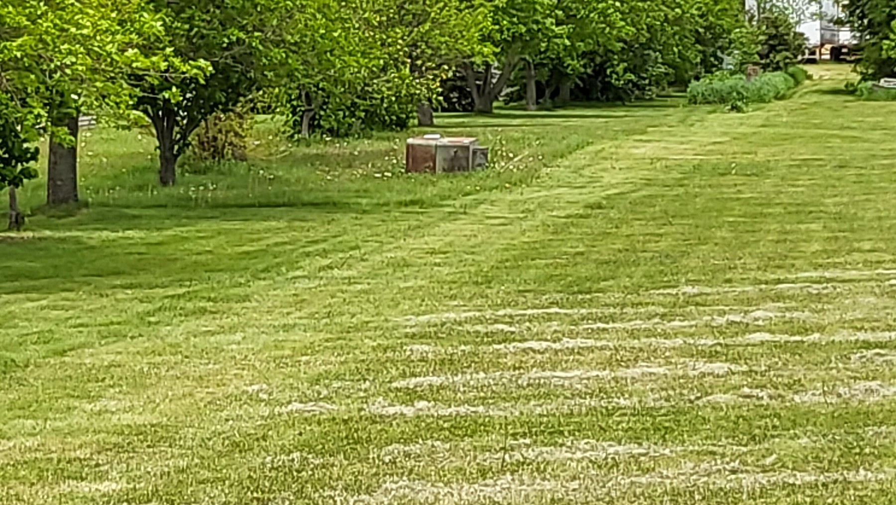 Lot 4A Bk3 Anderson Addition, White, SD 57276