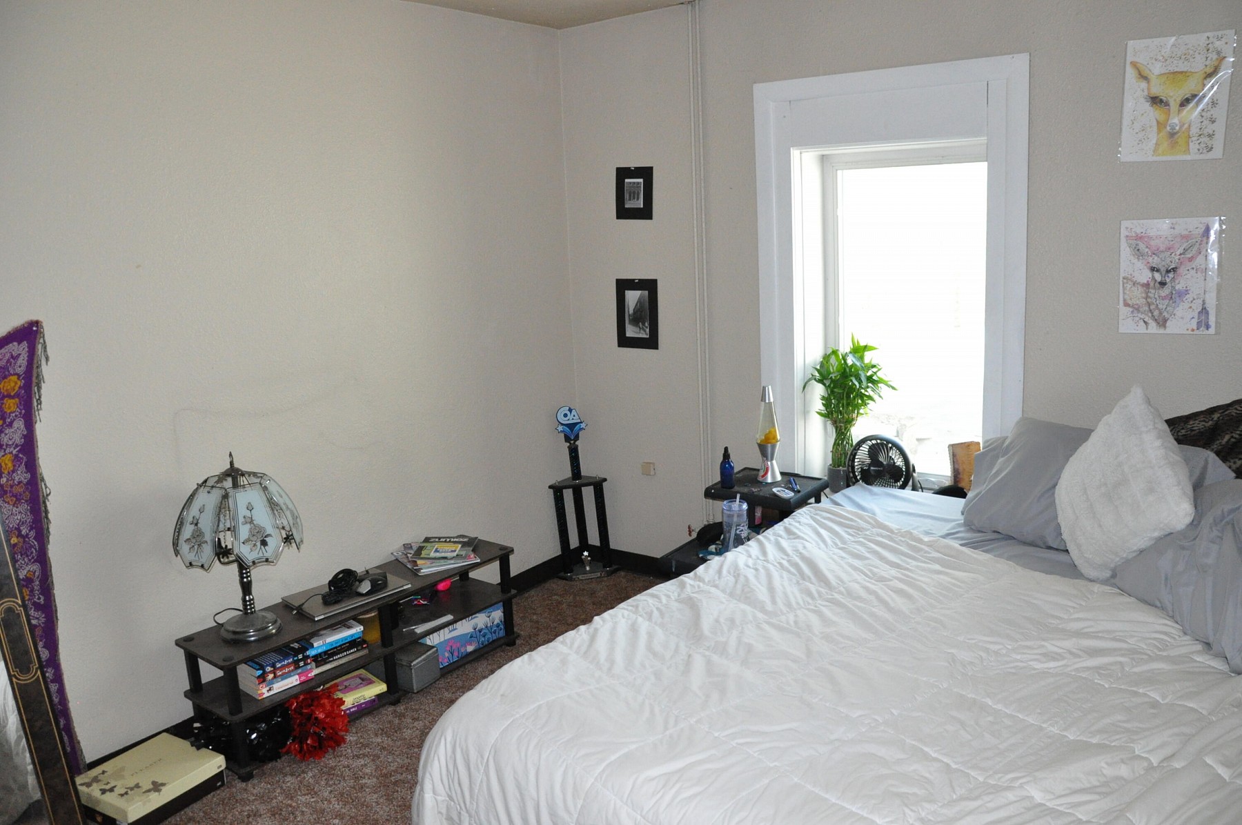 311 Main Ave, Brookings, SD 57006