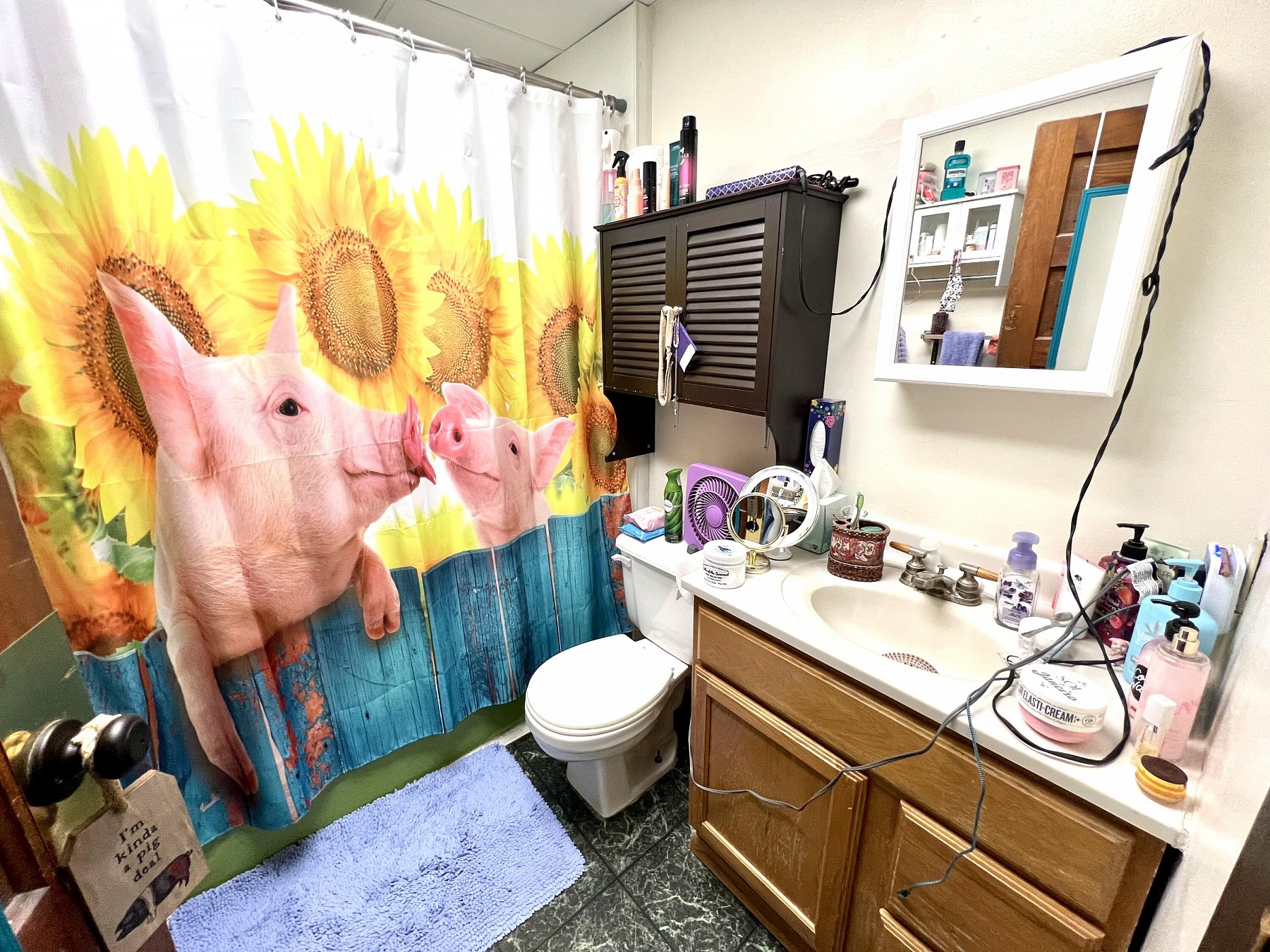 209 2nd Street S, Brookings, SD 57006