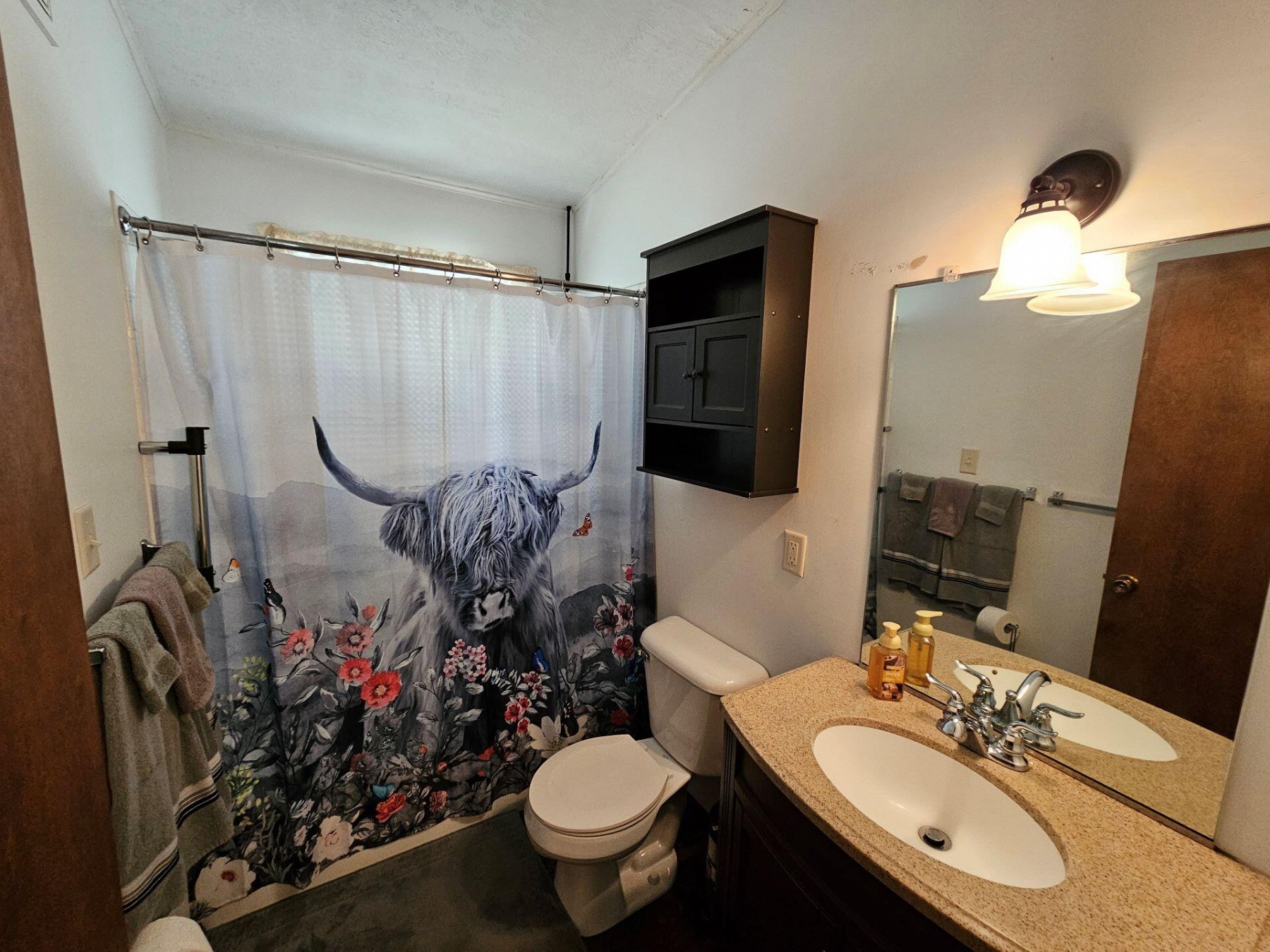 410 22nd Avenue S, Brookings, SD 57006