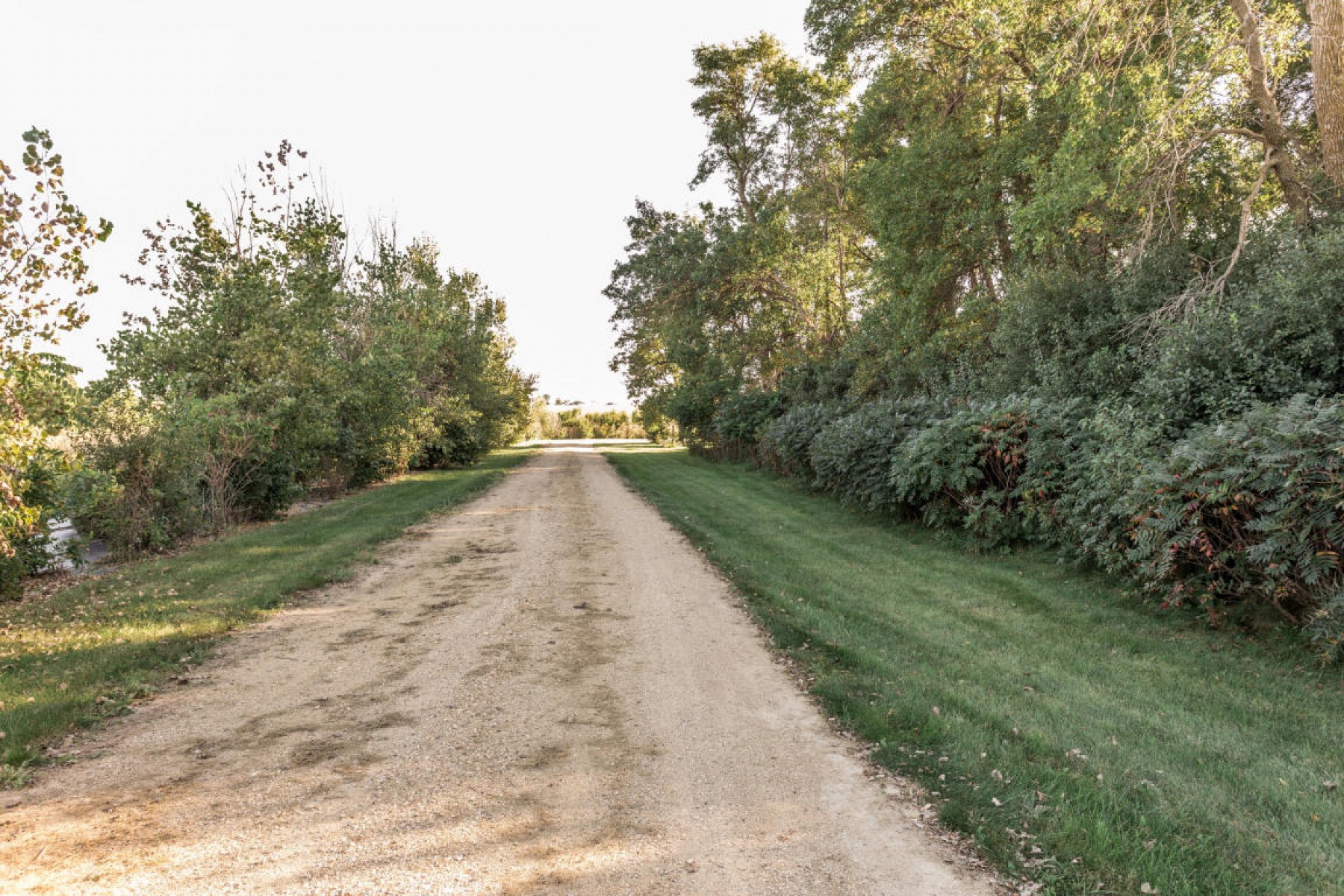 47135 203RD Street, Brookings, SD 57006