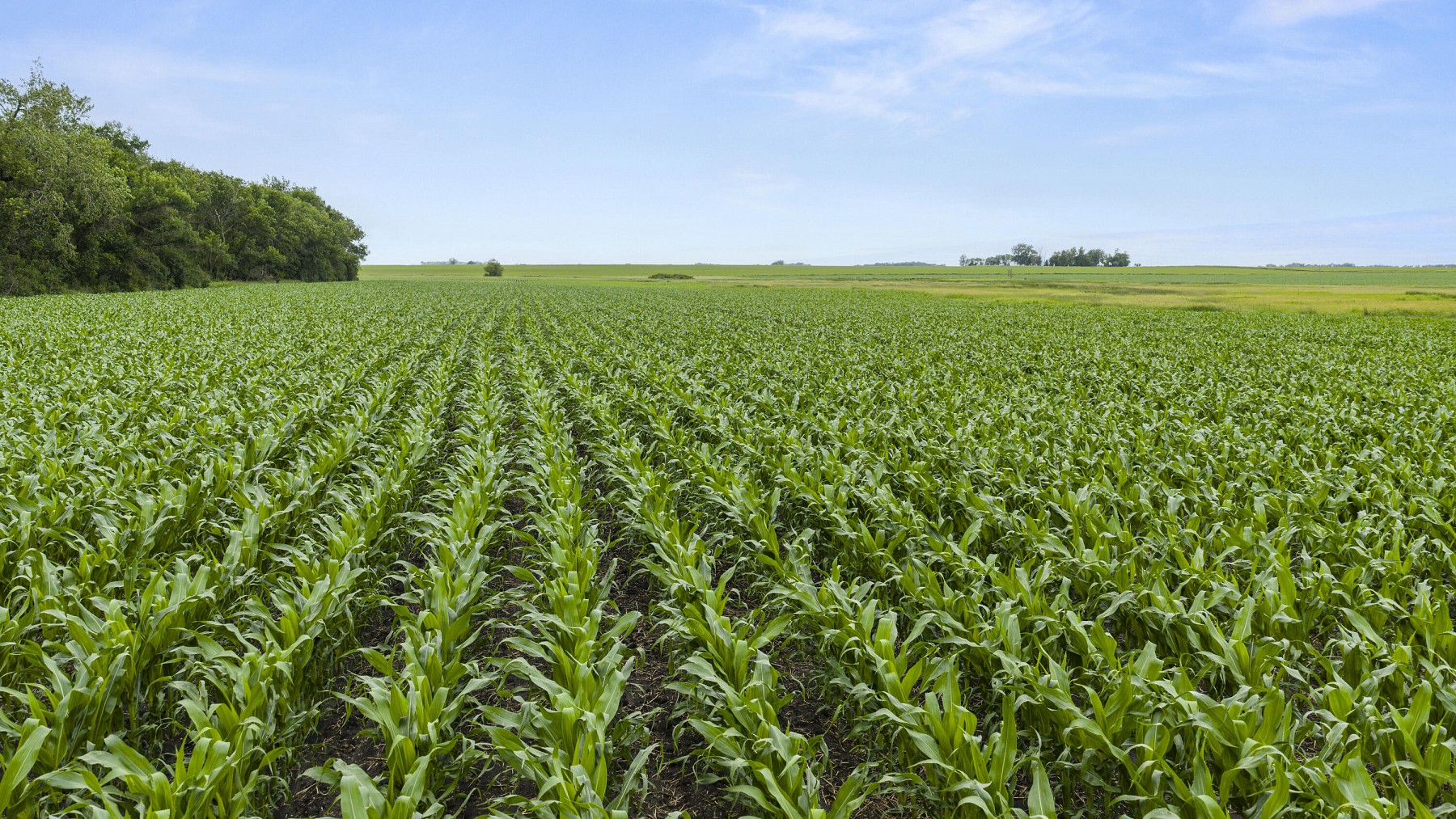 19935 474th Avenue, White, SD 57276