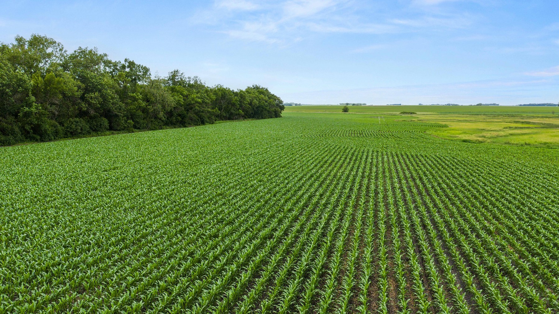 19935 474th Avenue, White, SD 57276