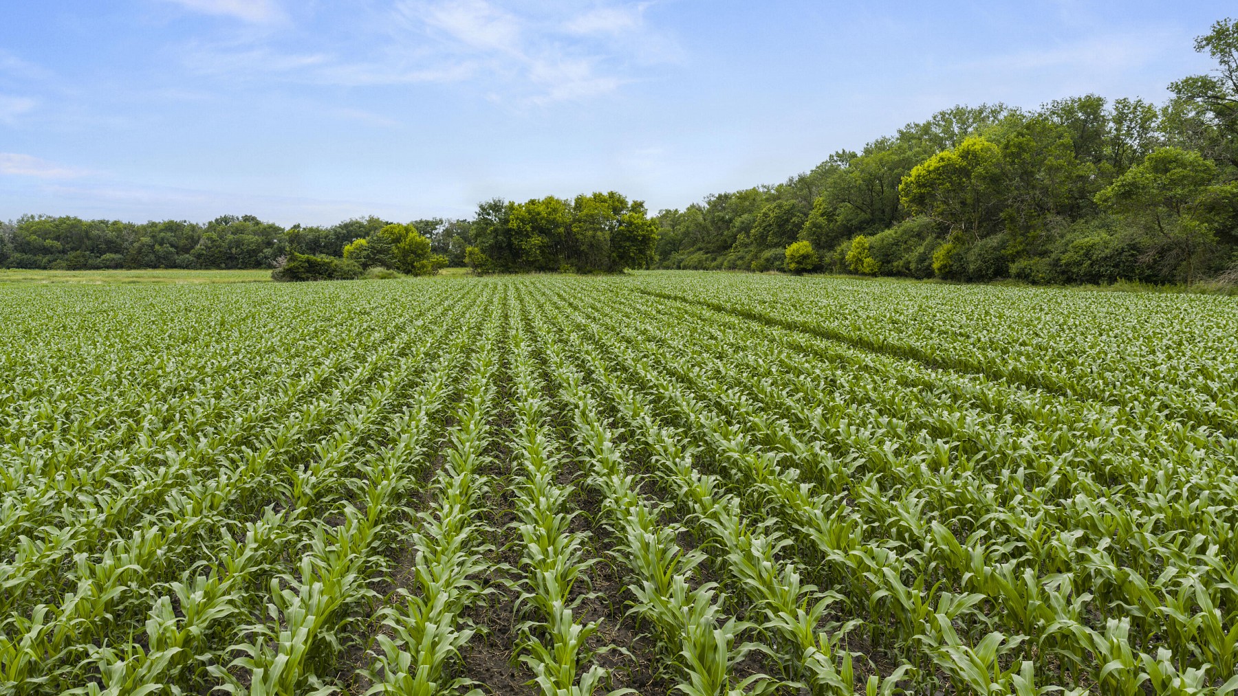 19935 474th Avenue, White, SD 57276