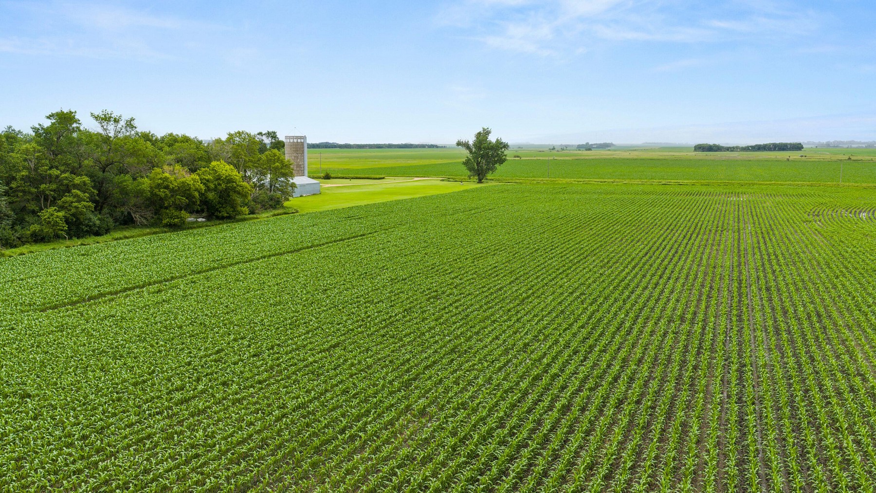 19935 474th Avenue, White, SD 57276