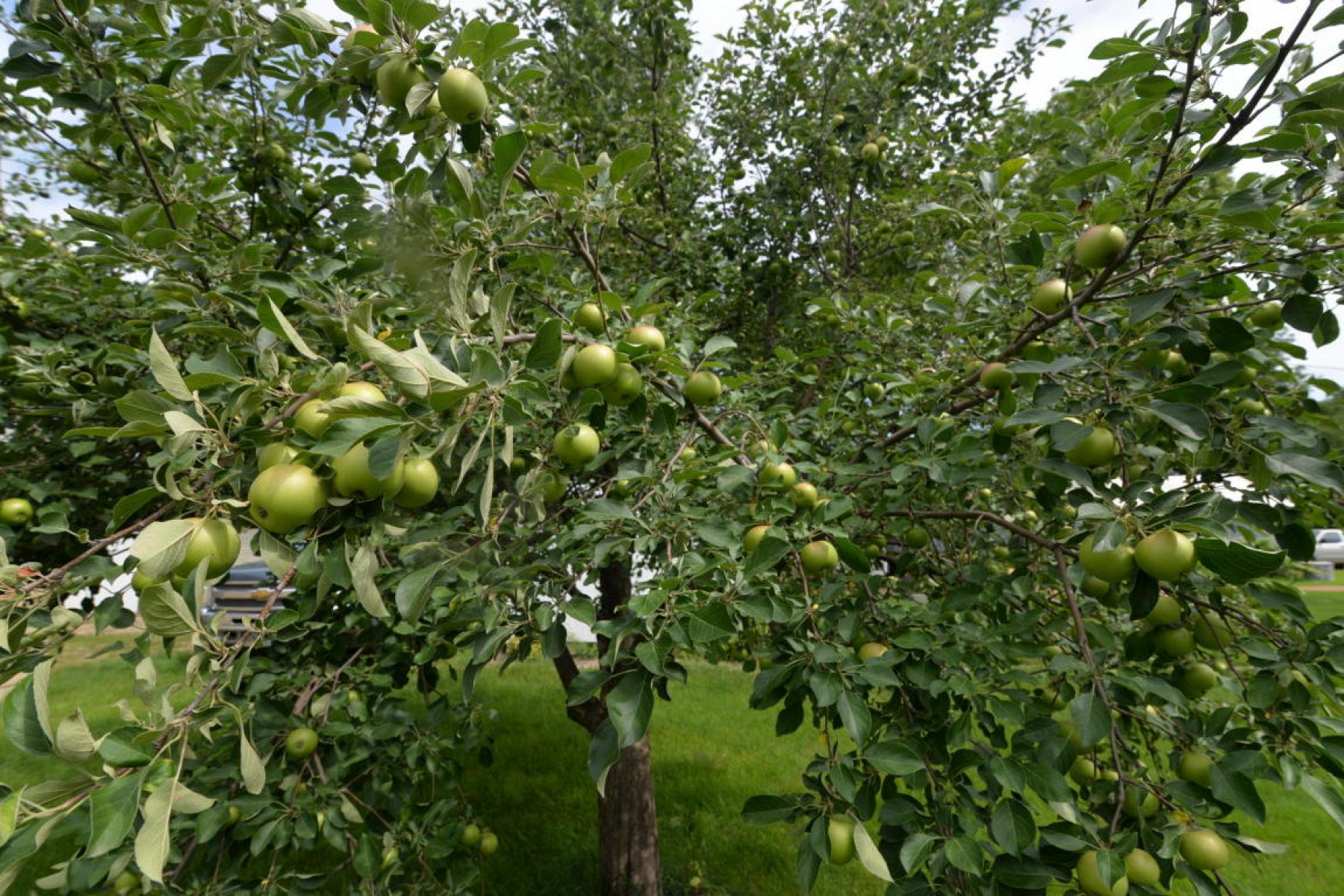 210 3rd Avenue, Flandreau, SD 57028