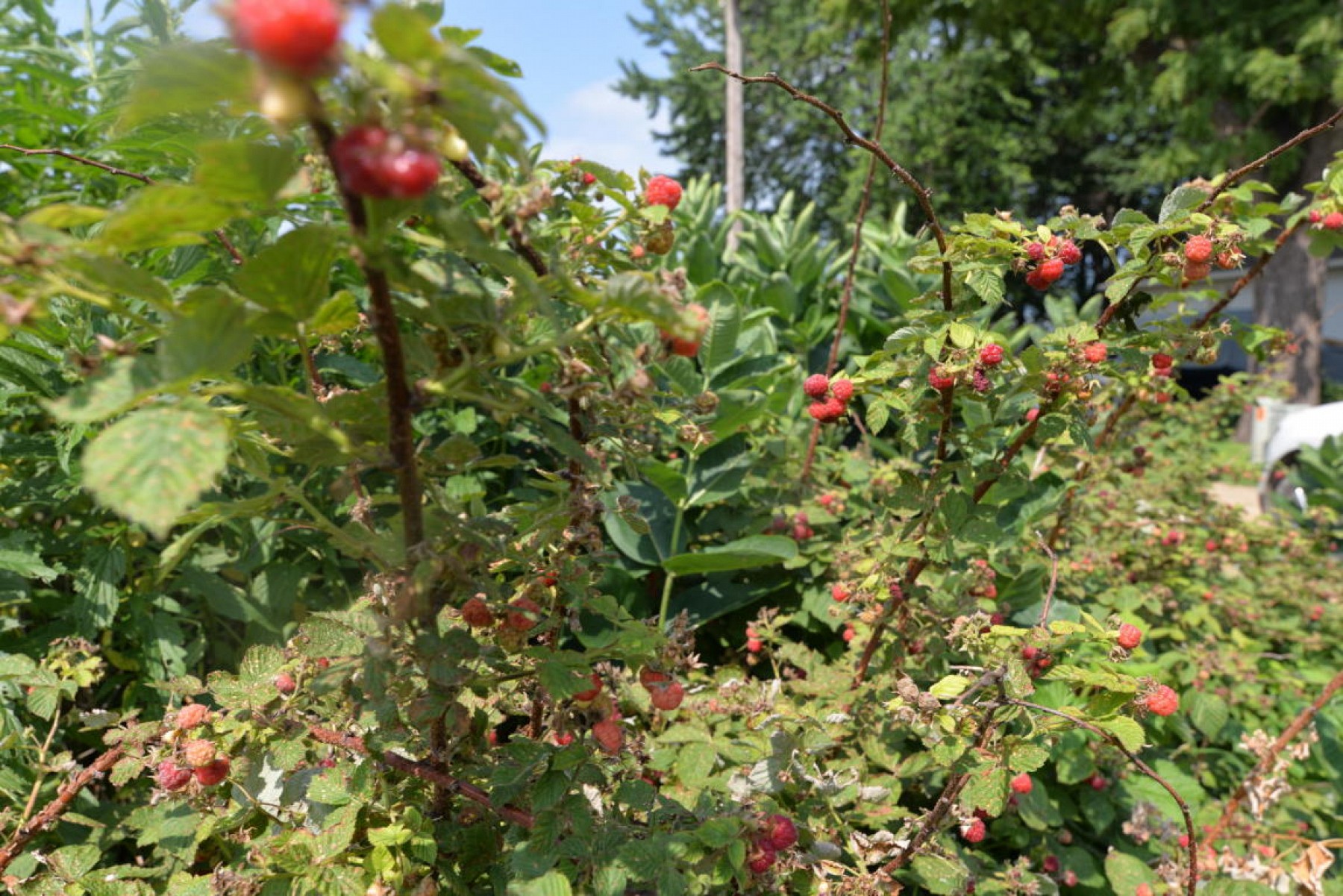 210 3rd Avenue, Flandreau, SD 57028