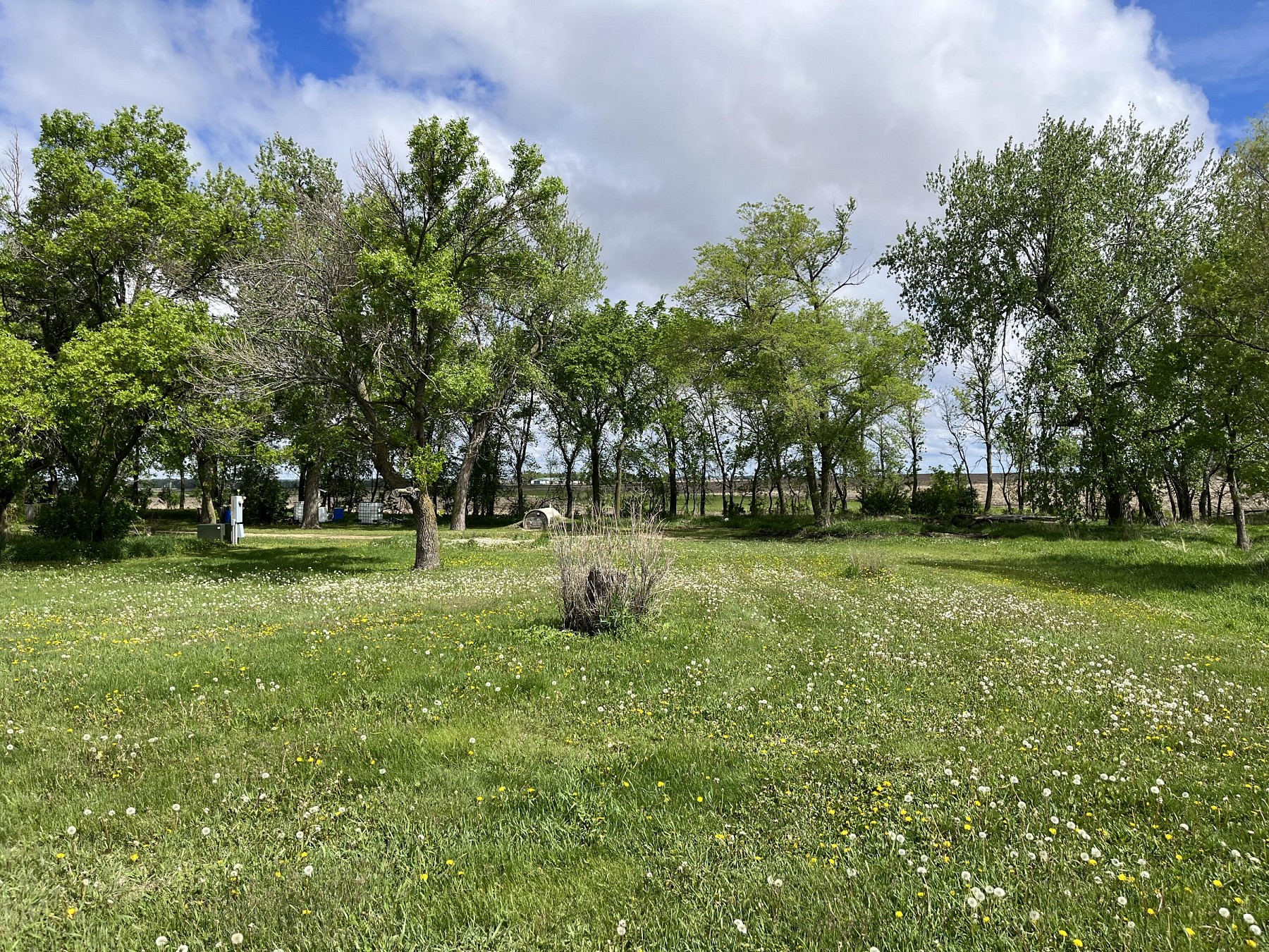 20680 450th Avenue, Arlington, SD 57212