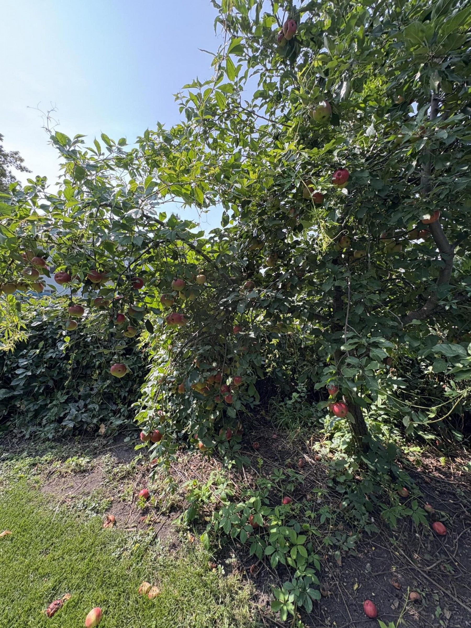 103 Elm Street, Aurora, SD 57002