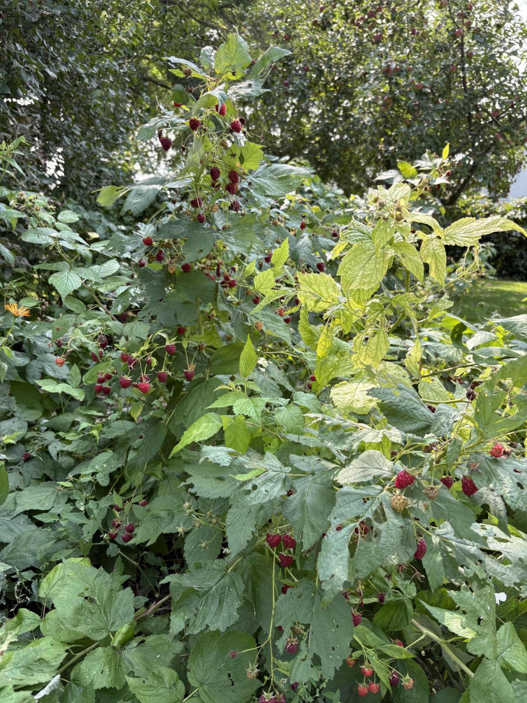 103 Elm Street, Aurora, SD 57002