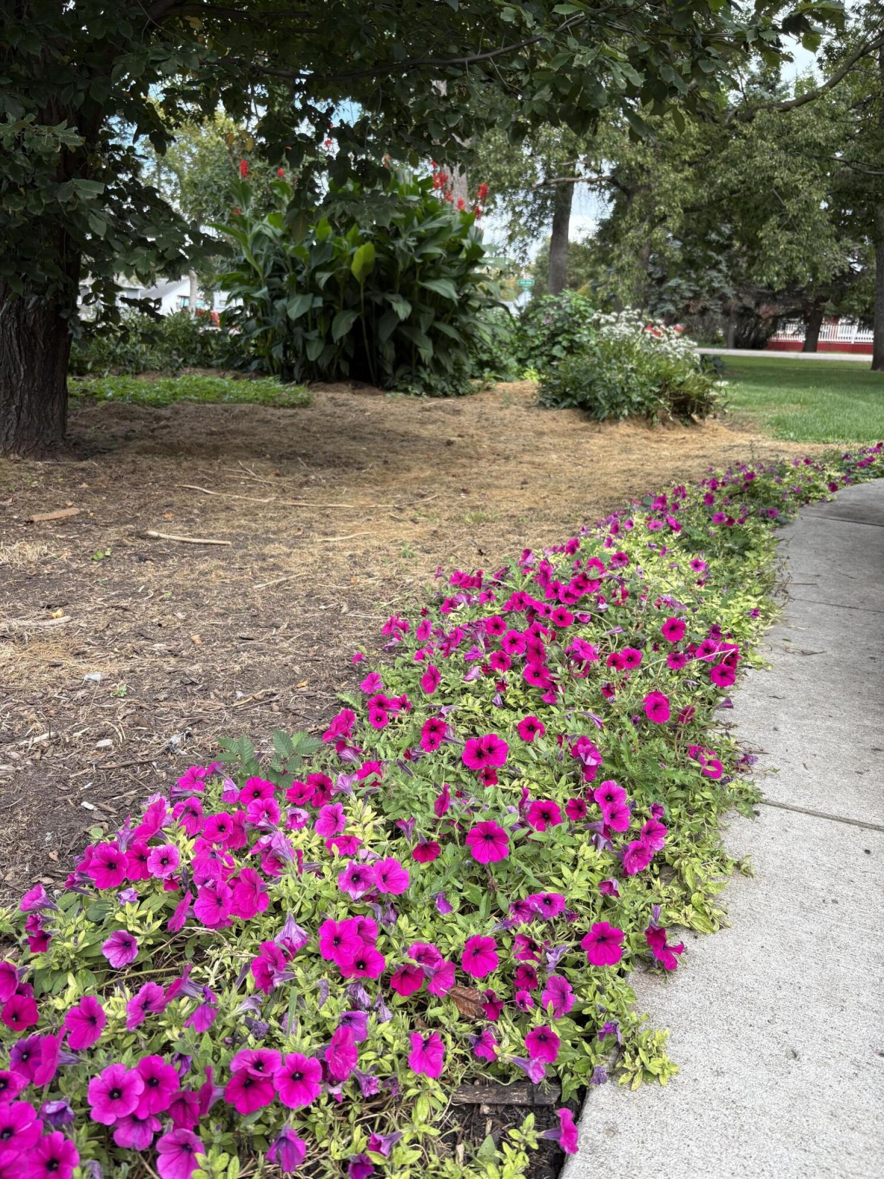 103 Elm Street, Aurora, SD 57002