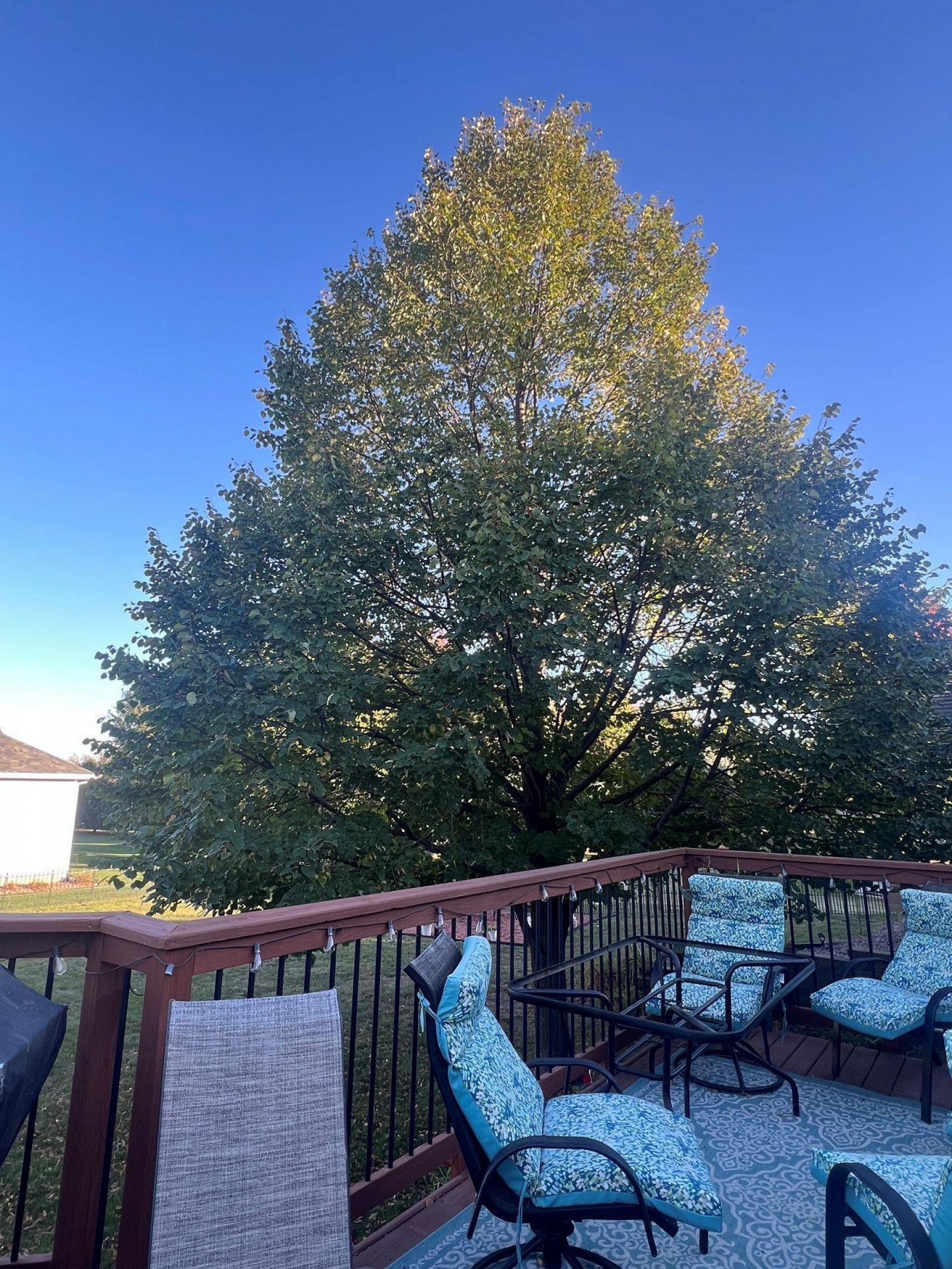 1801 7th Avenue S, Brookings, SD 57006