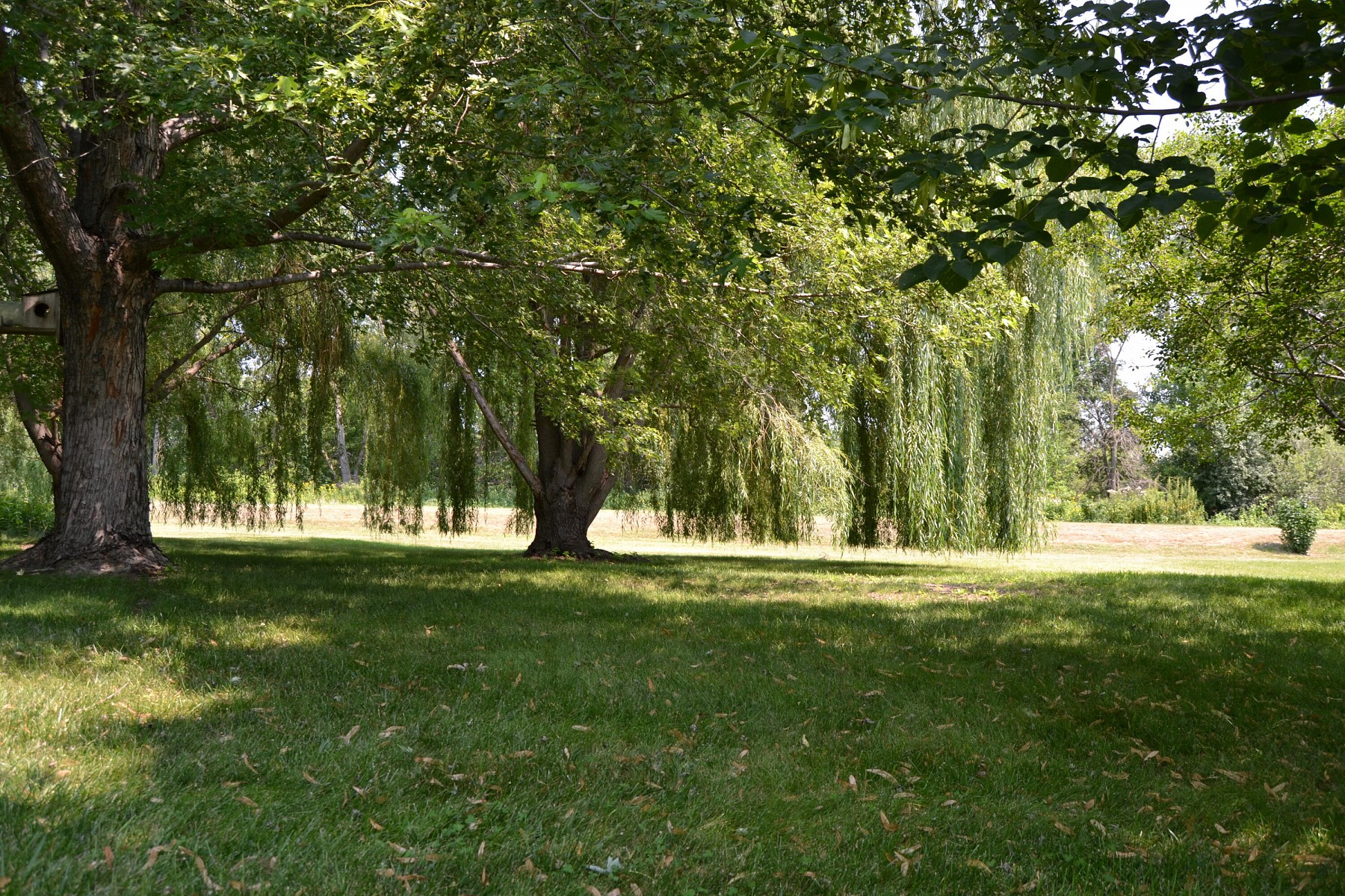 1023 16th&nbsp;Street&nbsp;S, Brookings, SD 57006