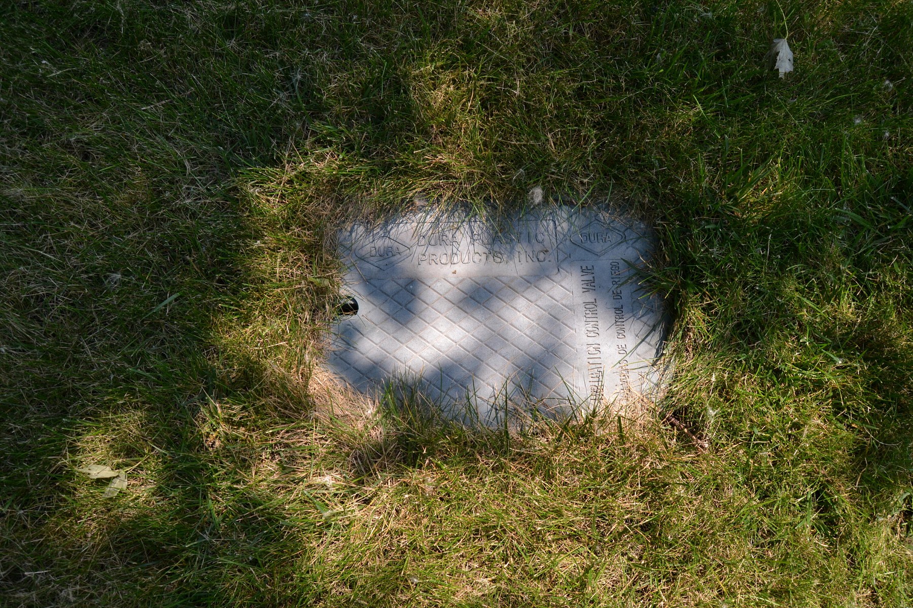 1023 16th&nbsp;Street&nbsp;S, Brookings, SD 57006