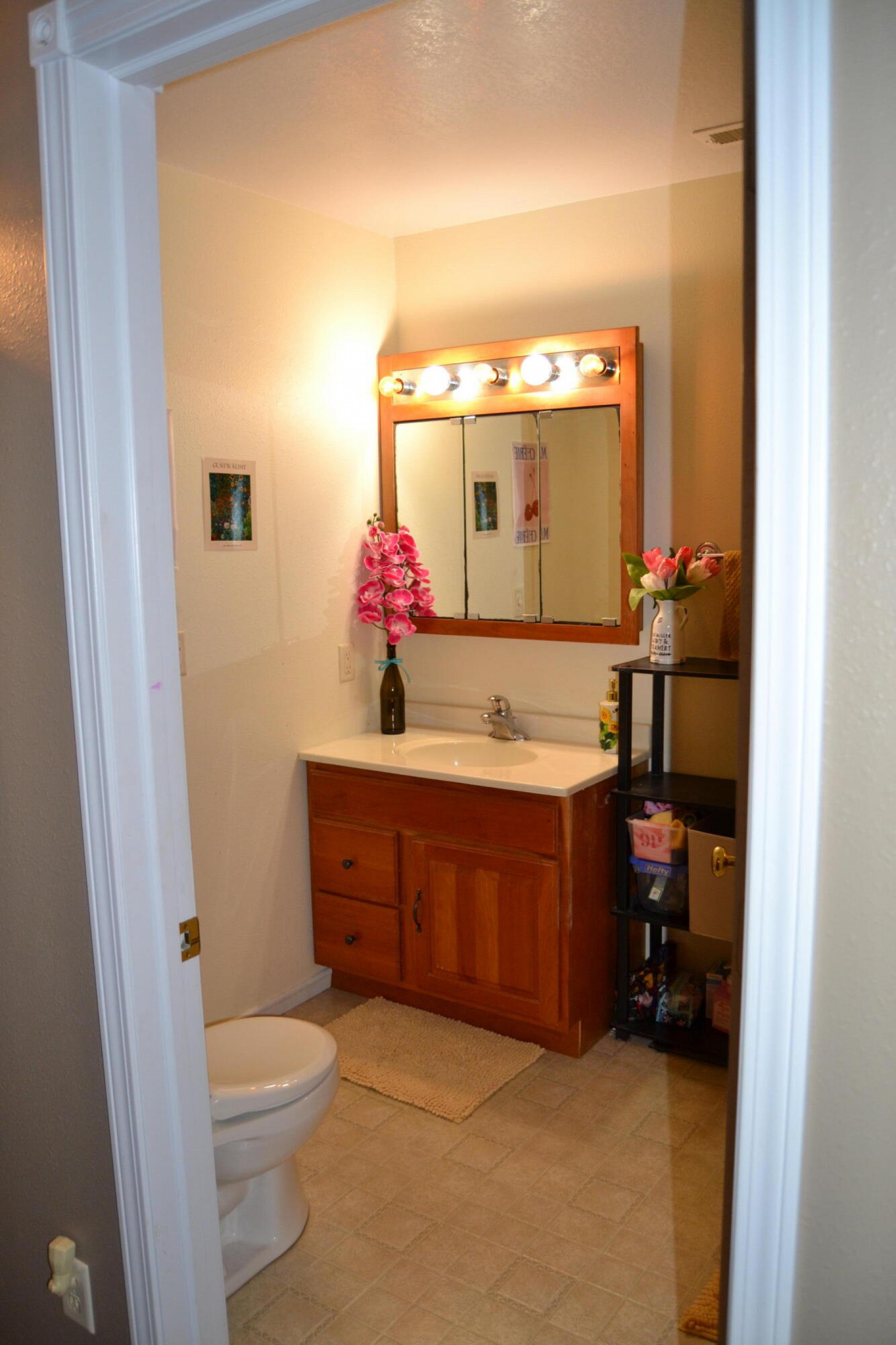 1023 16th&nbsp;Street&nbsp;S, Brookings, SD 57006