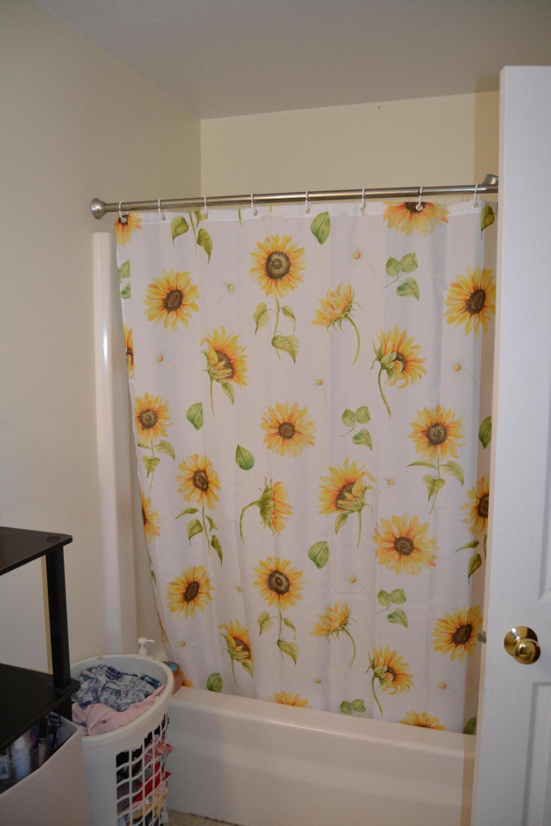 1023 16th&nbsp;Street&nbsp;S, Brookings, SD 57006