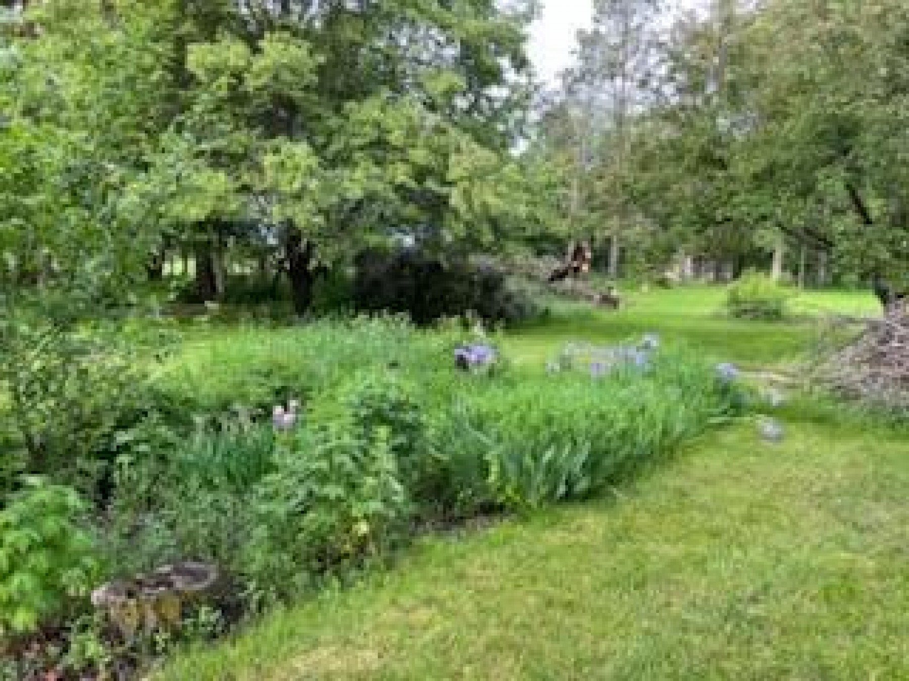 388 Boren&nbsp;Street, Astoria, SD 57213