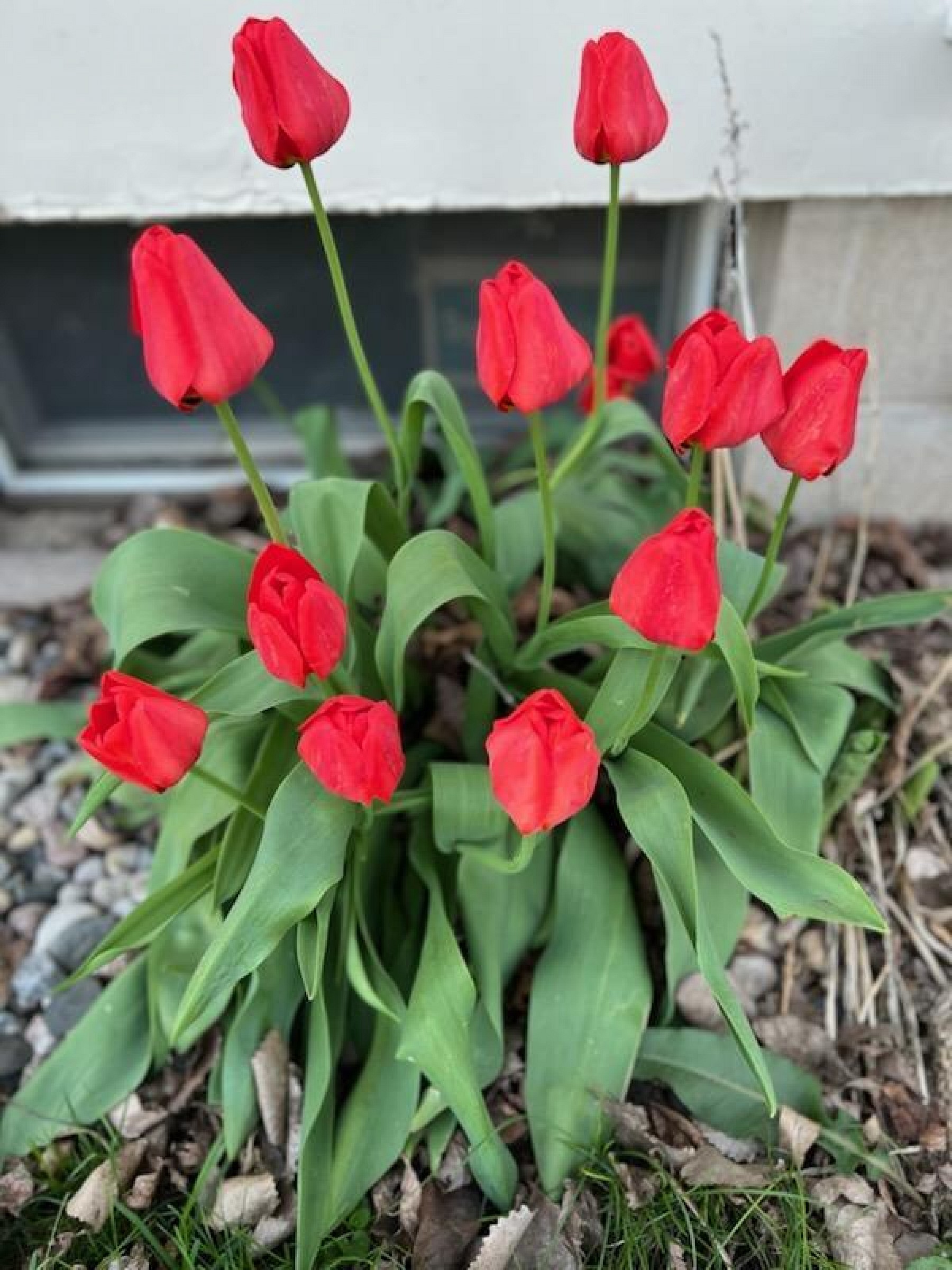 388 Boren&nbsp;Street, Astoria, SD 57213