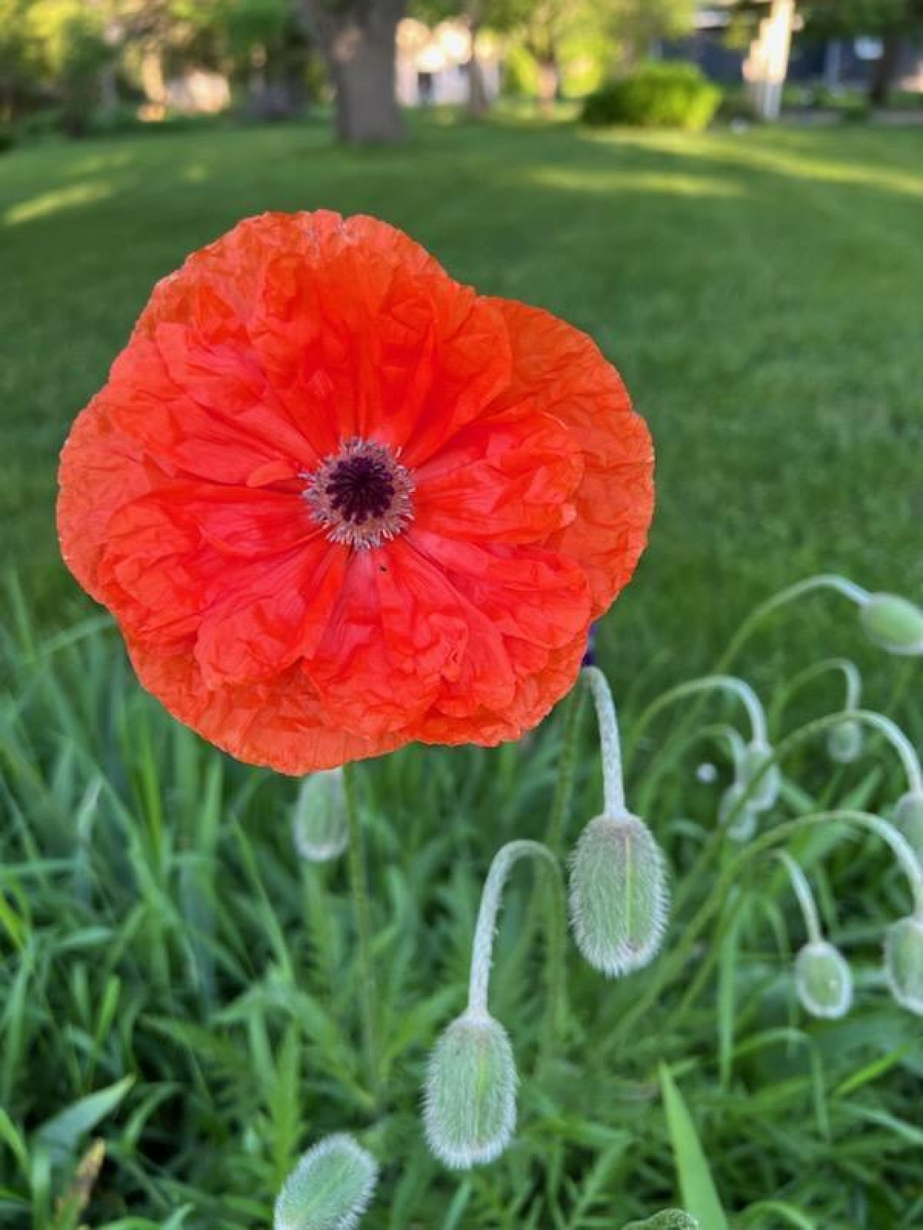 388 Boren&nbsp;Street, Astoria, SD 57213