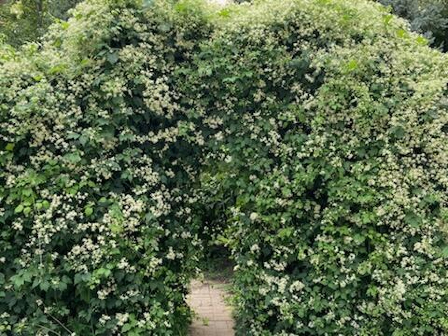 24143 473rd&nbsp;Avenue, Dell Rapids, SD 57022