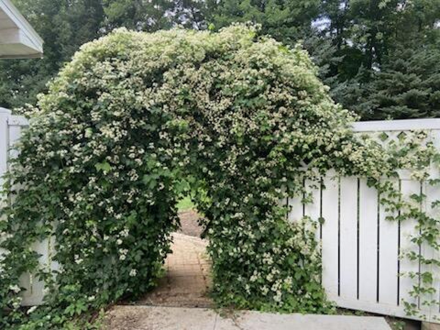 24143 473rd&nbsp;Avenue, Dell Rapids, SD 57022