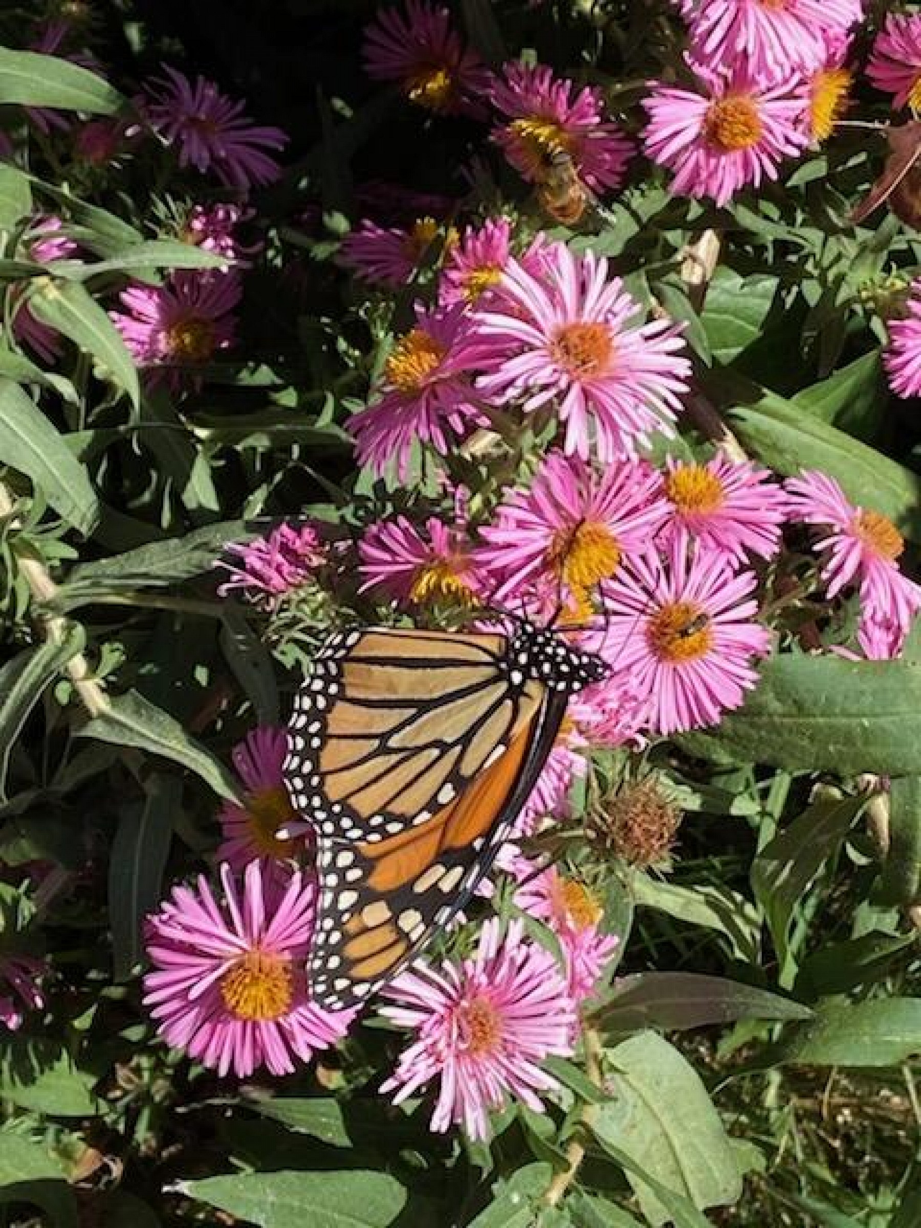 24143 473rd&nbsp;Avenue, Dell Rapids, SD 57022