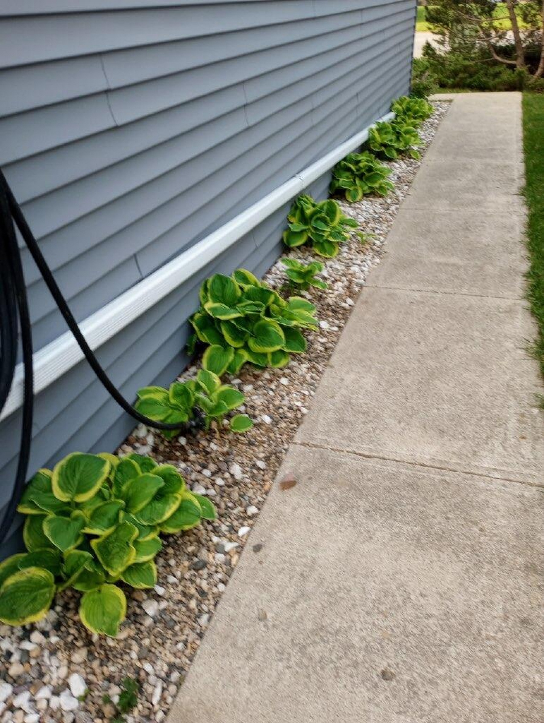 1537 Orchard&nbsp;Drive, Brookings, SD 57006