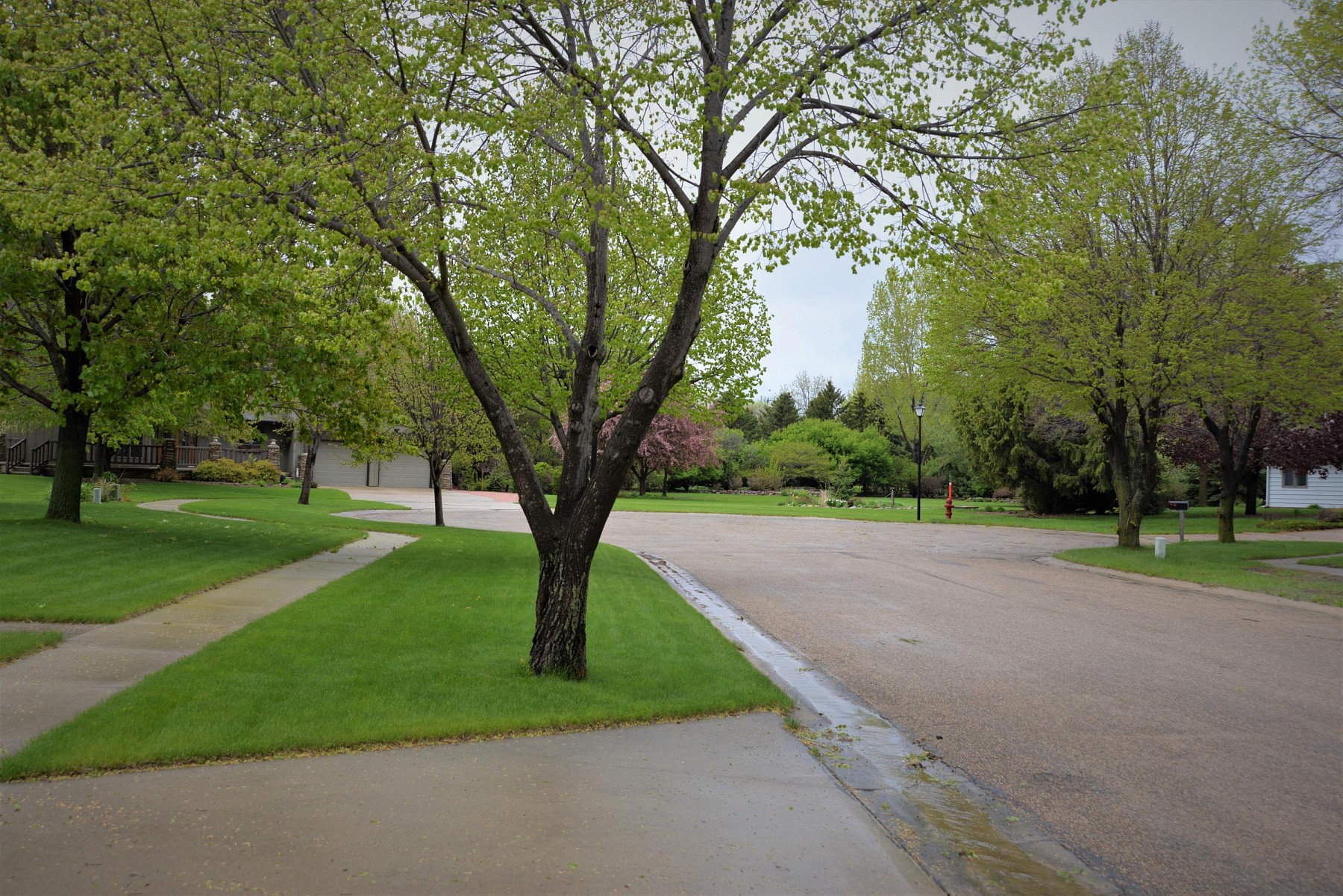 1519 Sequoia&nbsp;Court, Brookings, SD 57006