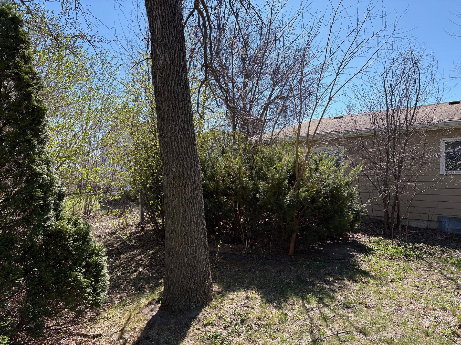 2055 1st&nbsp;Street, Brookings, SD 57006