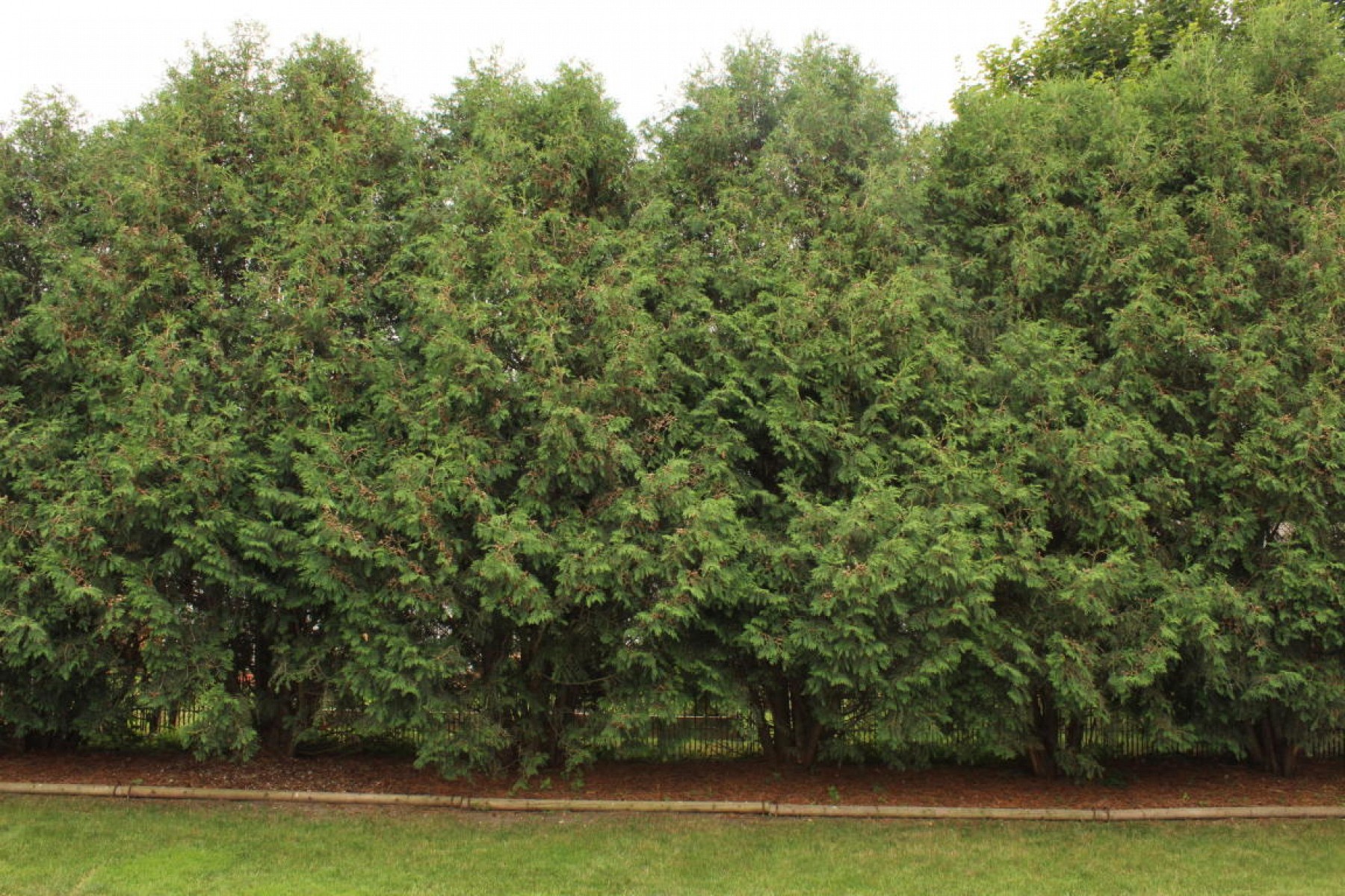 1416 King Arthur Court, Brookings, SD 57006