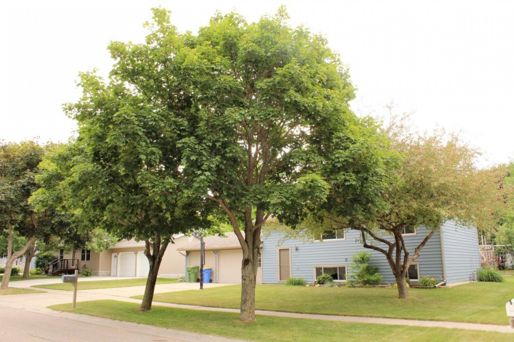 1416 King Arthur Court, Brookings, SD 57006