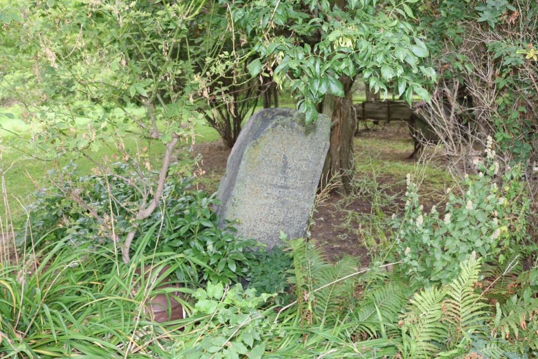 19247 483rd Avenue, Astoria, SD 57213