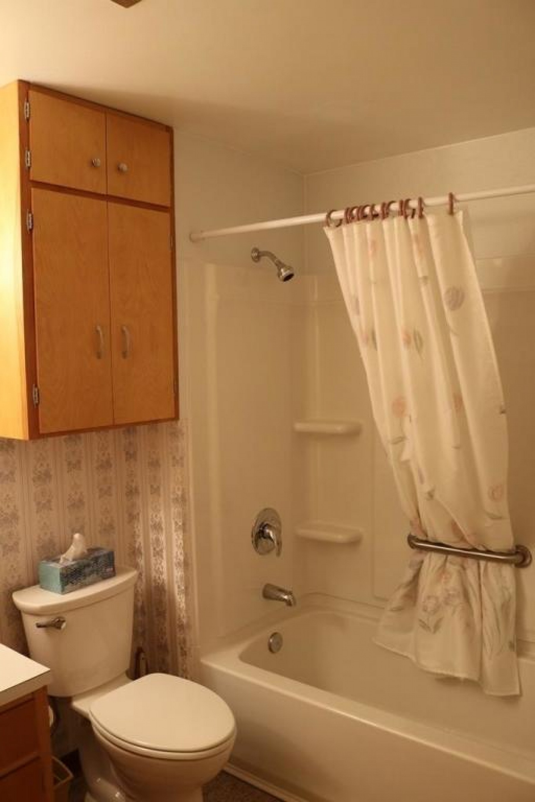 1118 Vine Street, Brookings, SD 57006