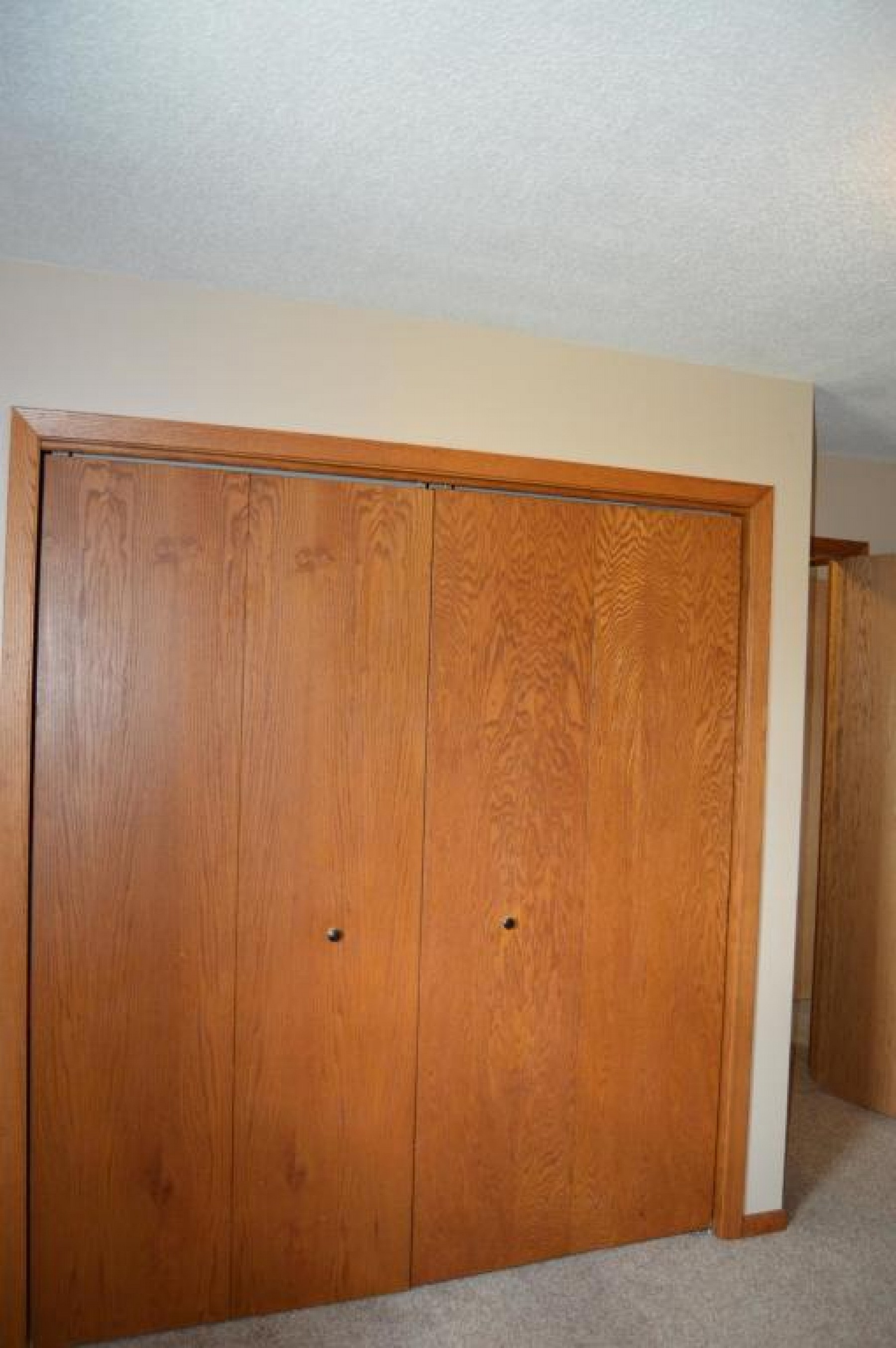 203 BEALE Drive, Volga, SD 57071