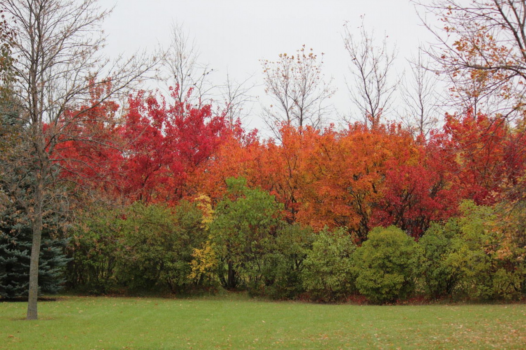 1718 20th Street S, Brookings, SD 57006