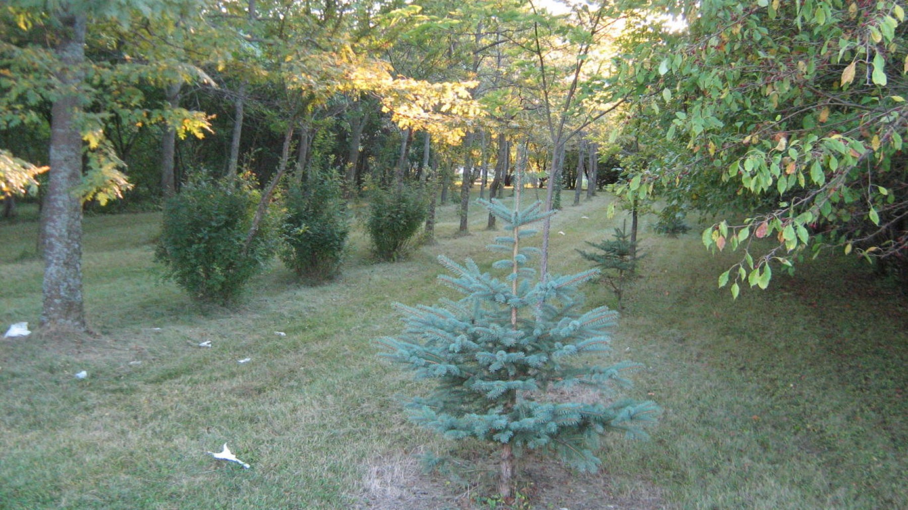 1718 20th Street S, Brookings, SD 57006