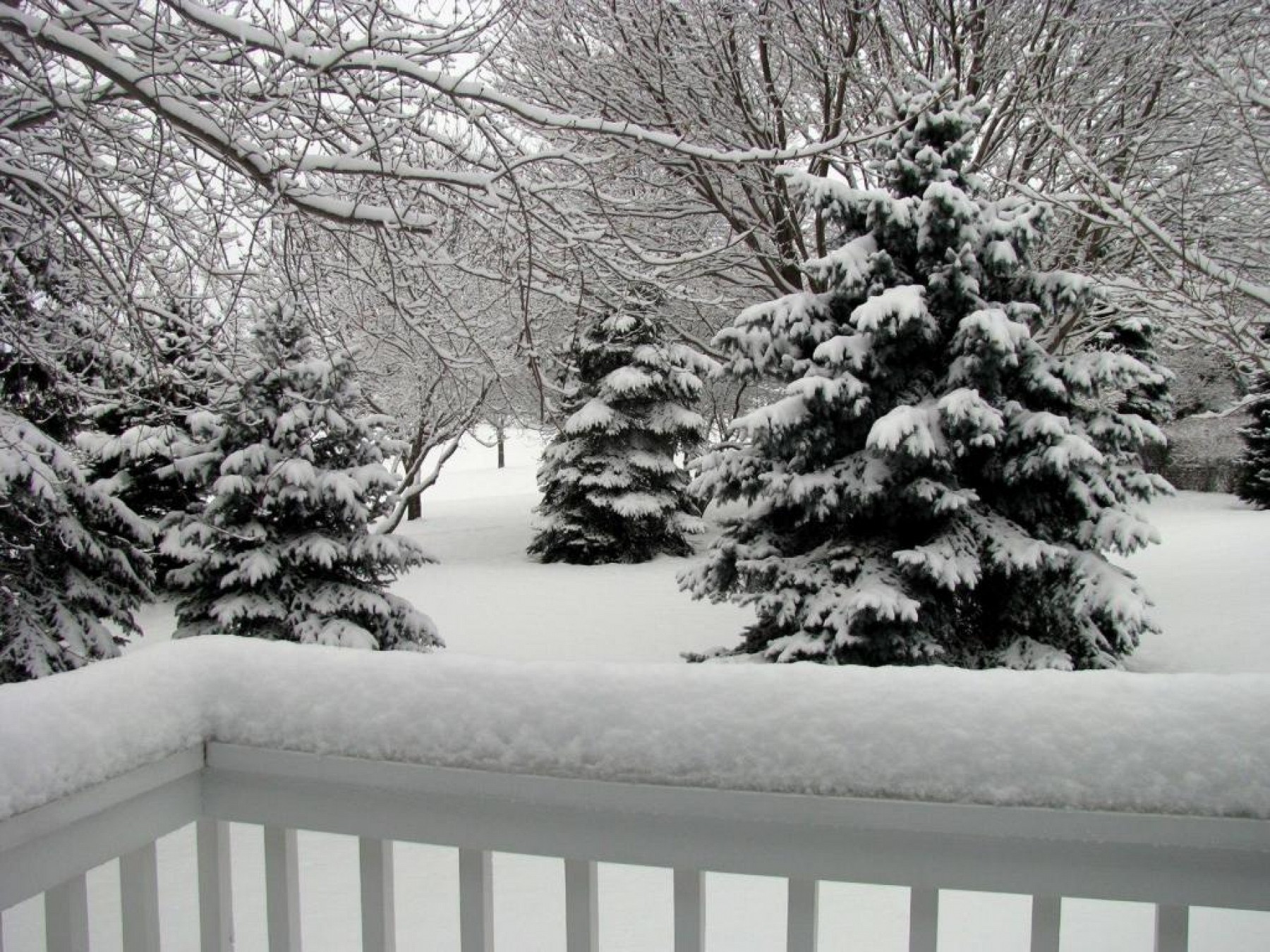 1804 Half Moon Road, Brookings, SD 57006