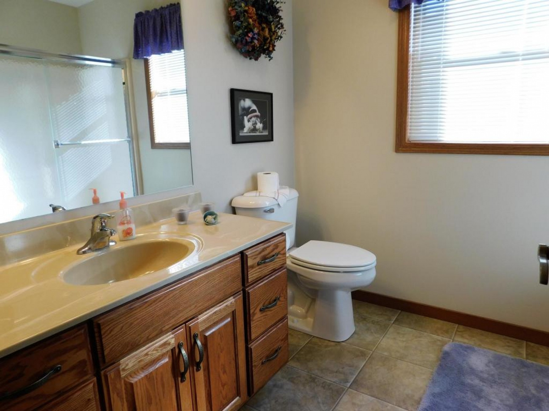 1830 Tatanka Pass, Brookings, SD 57006