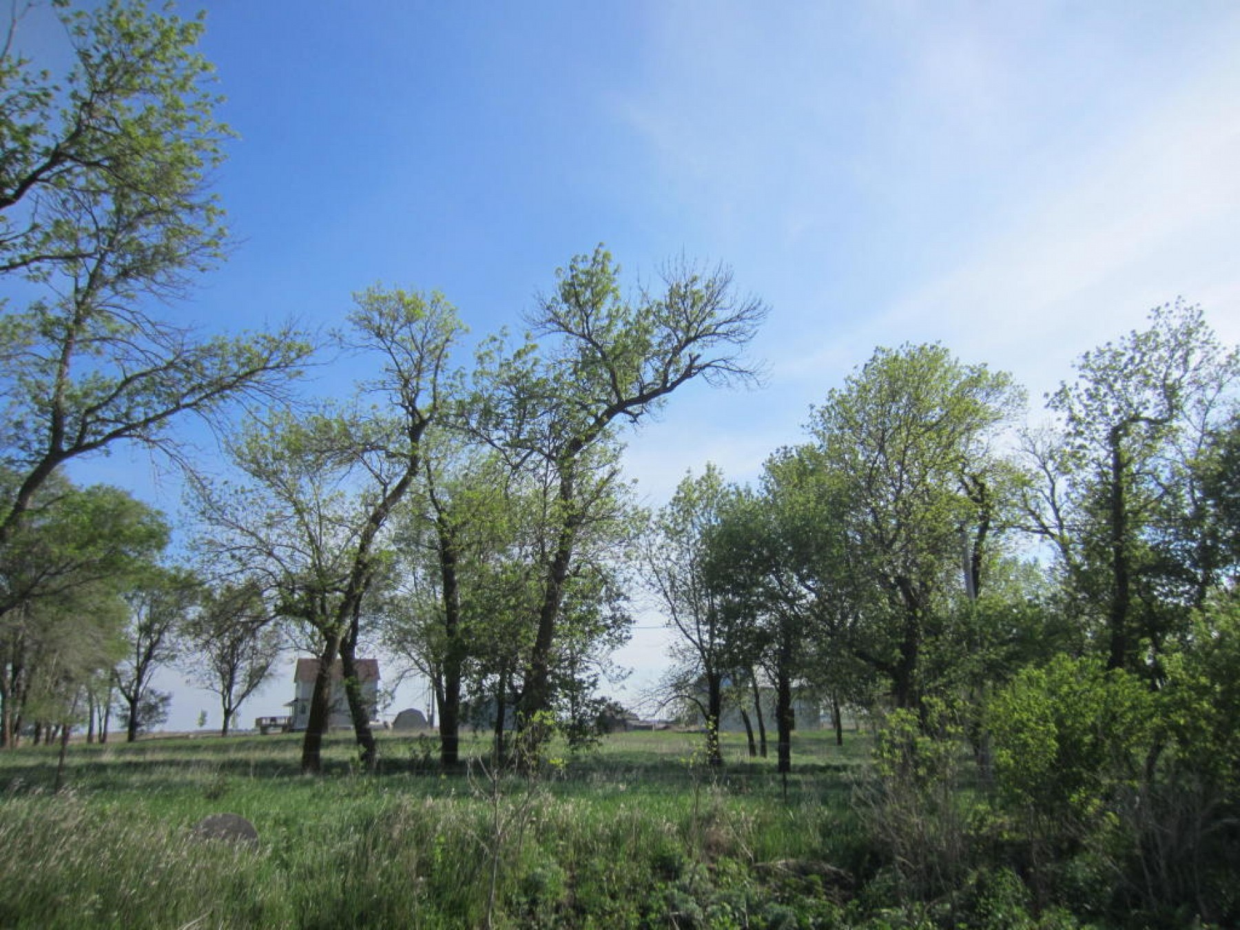 22609 471St Avenue, Colman, SD 57017