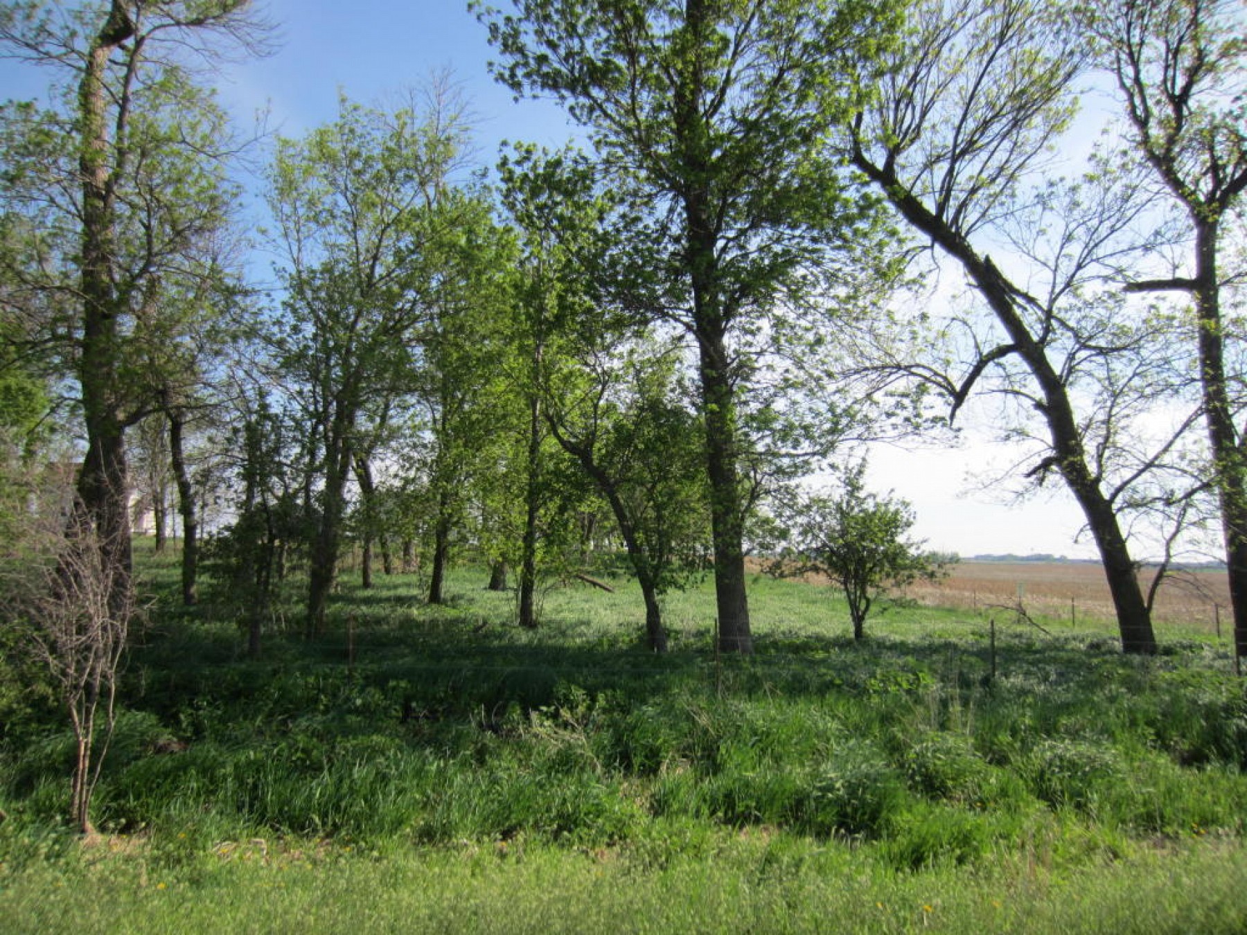 22609 471St Avenue, Colman, SD 57017