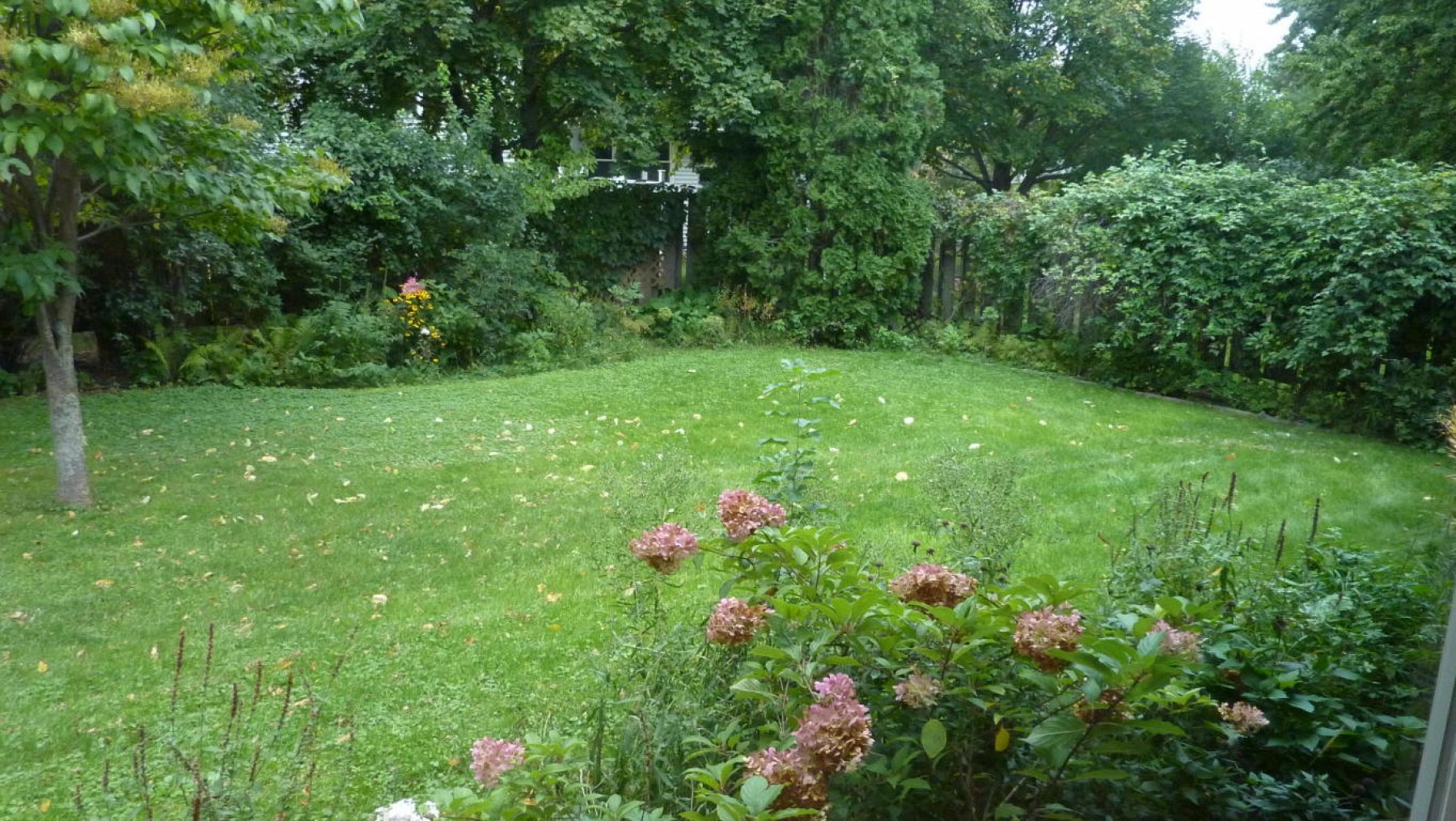 505 20th Avenue, Brookings, SD 57006