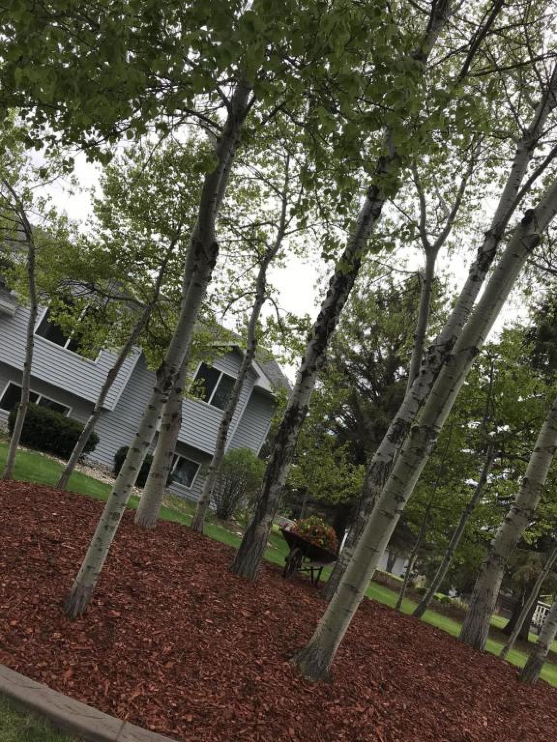 510 Deer Pass, Brookings, SD 57006