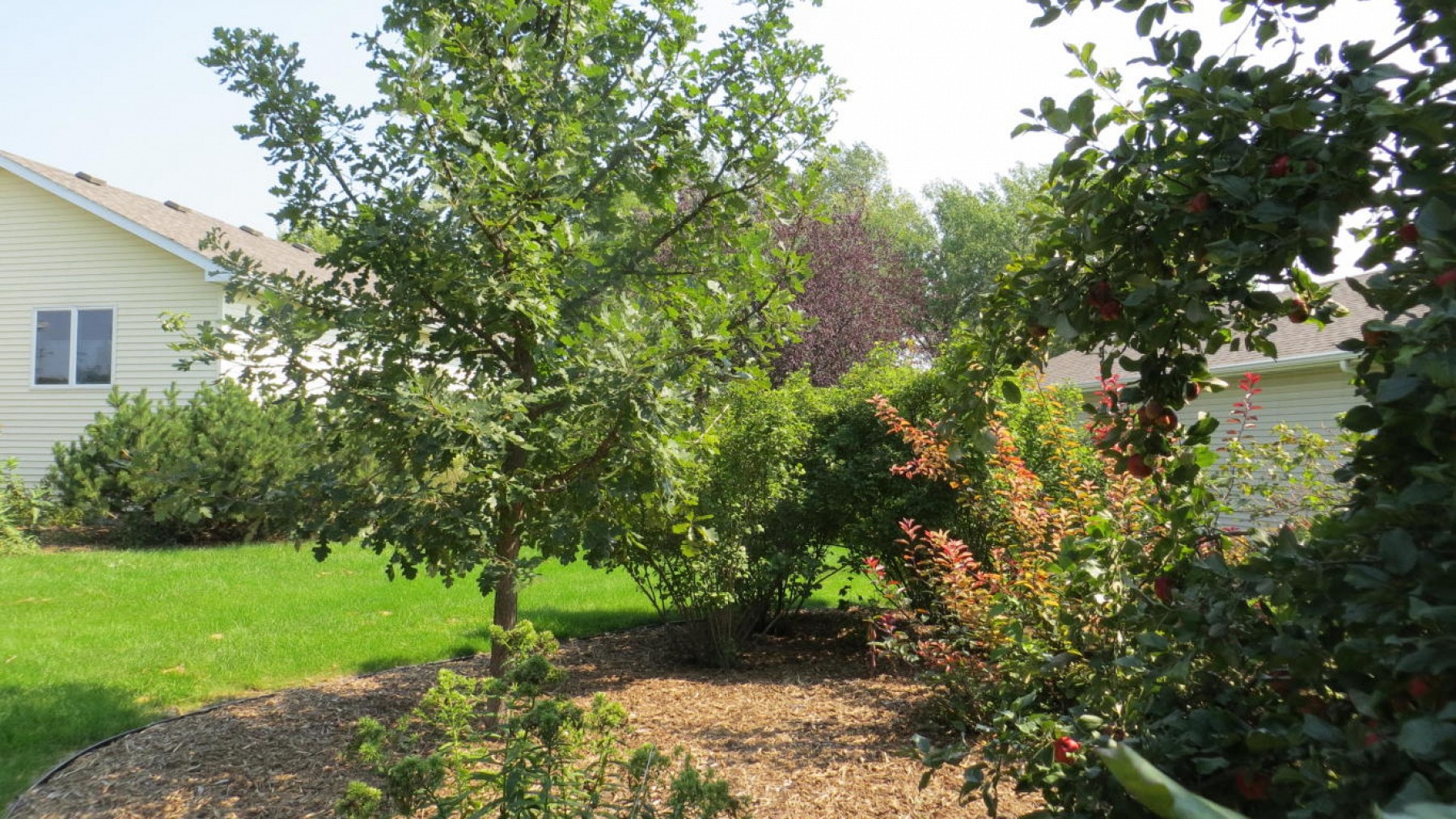 810 Pamela Drive, Brookings, SD 57006