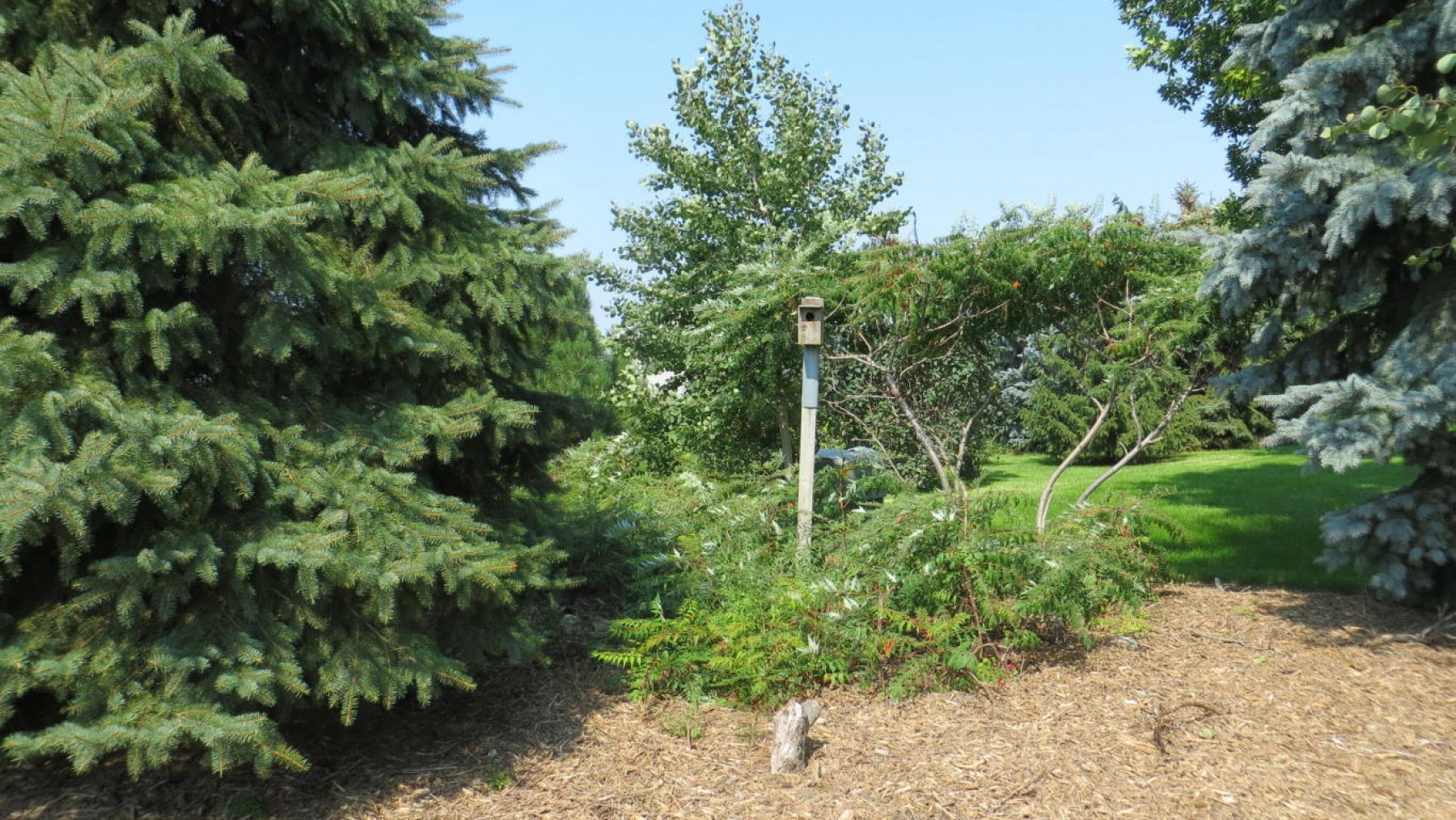 810 Pamela Drive, Brookings, SD 57006